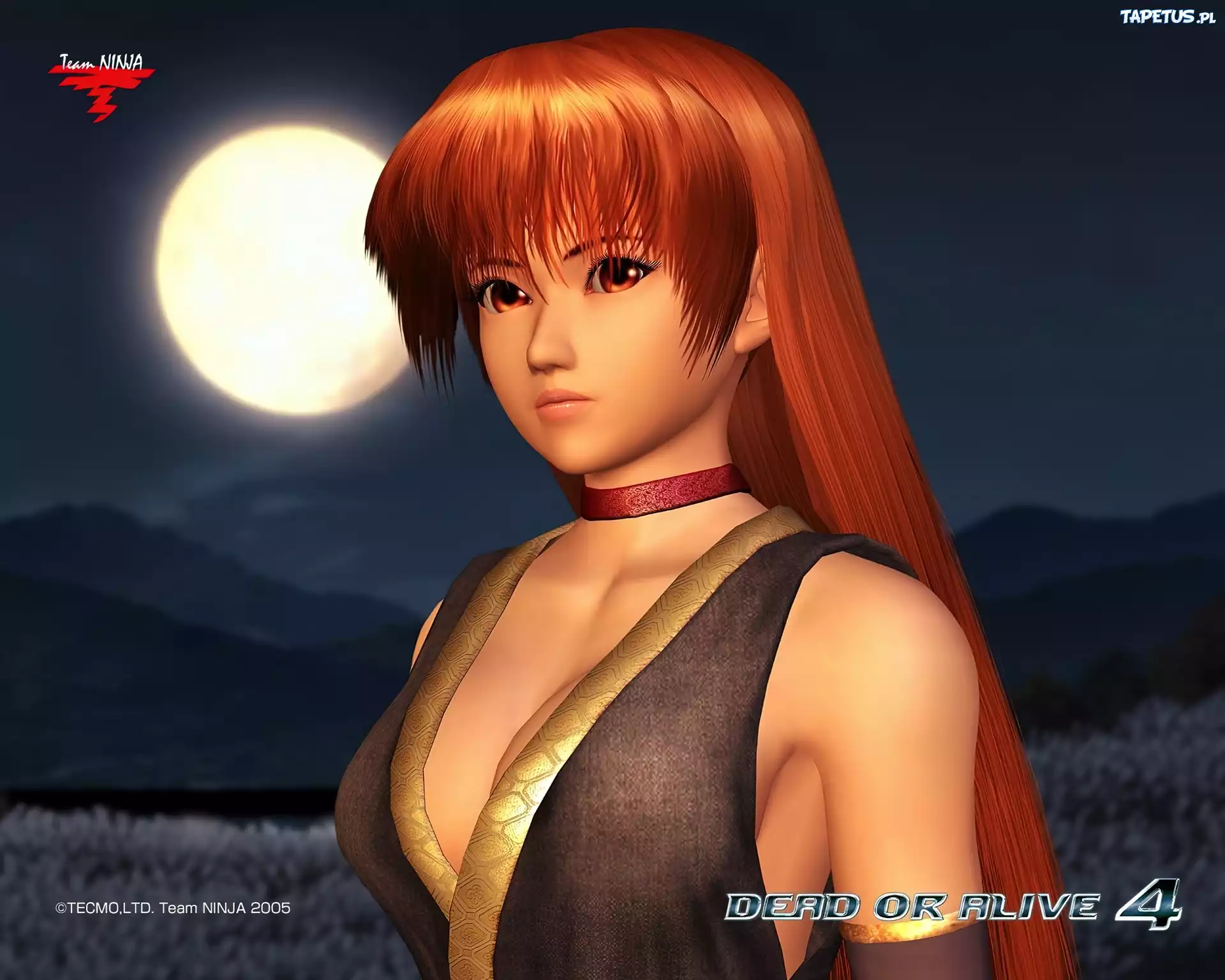 Dead Or Alive 4, Kasumi