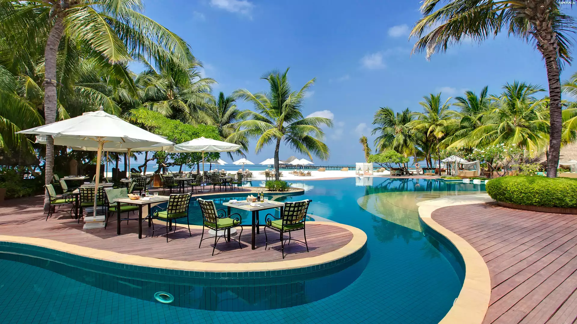 Hotel, Basen, Kurort, Malediwy