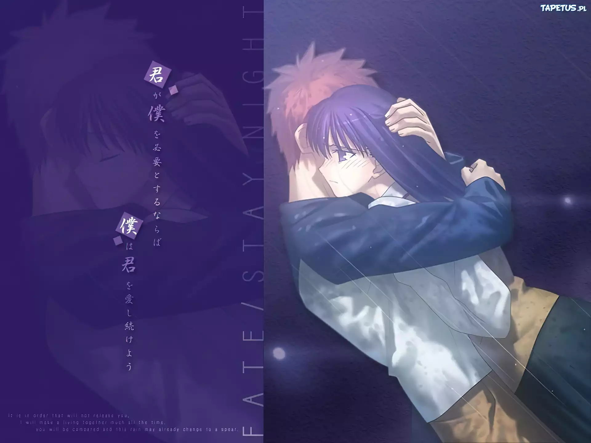 Fate Stay Night, para