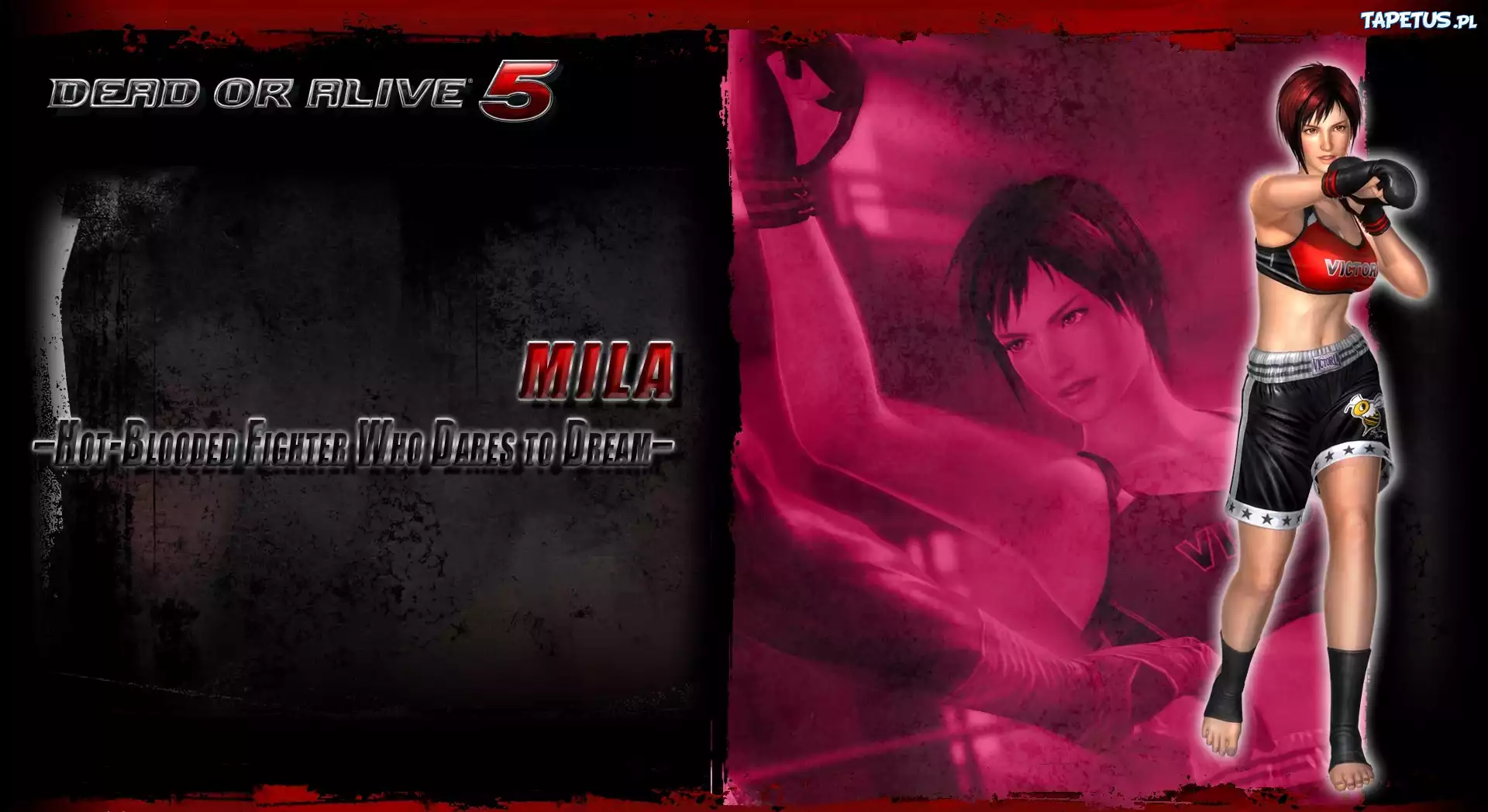Dead Or Alive 5, Mila