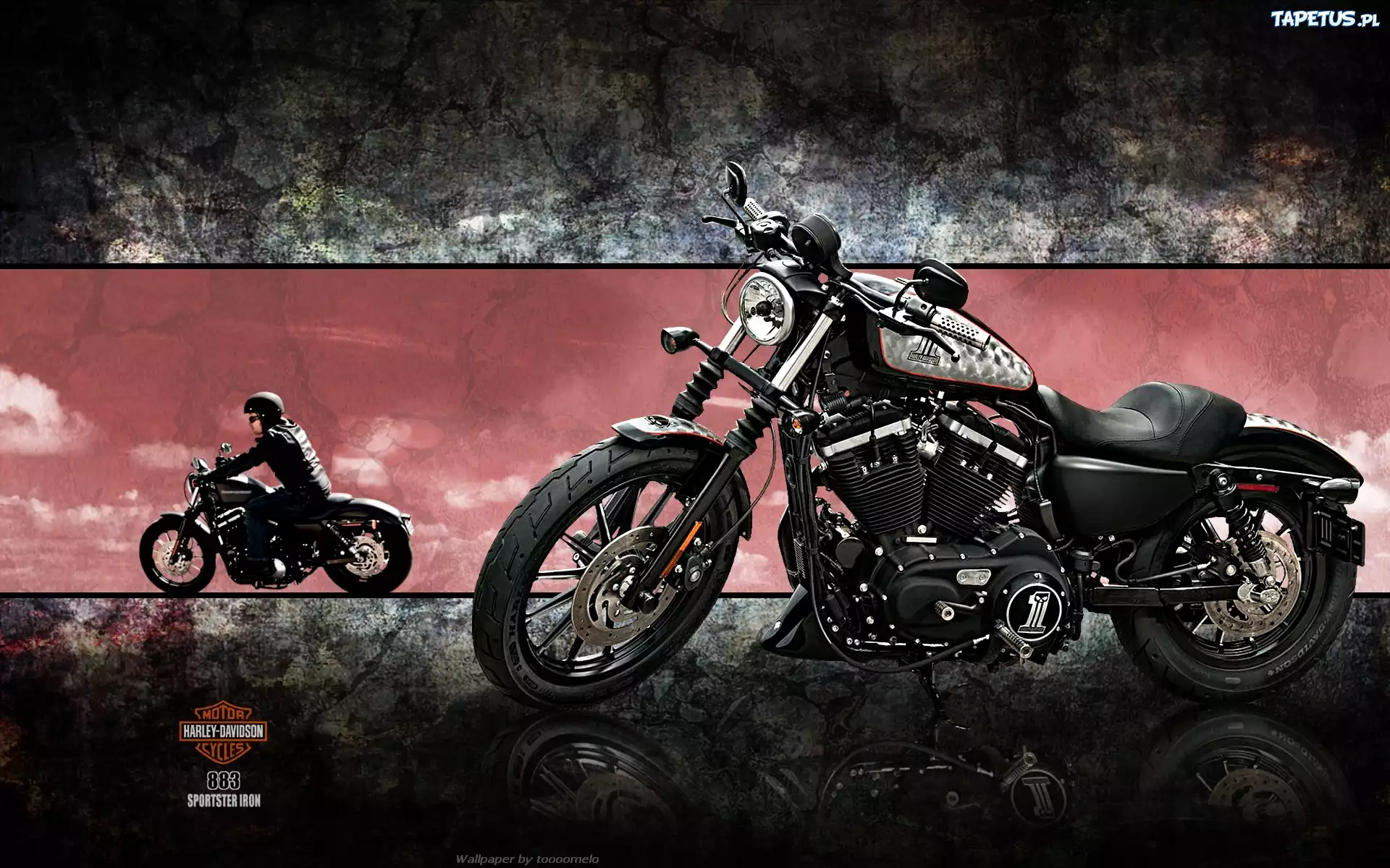 Harley-Davidson XL883N Iron, Motocykl, Motocyklista