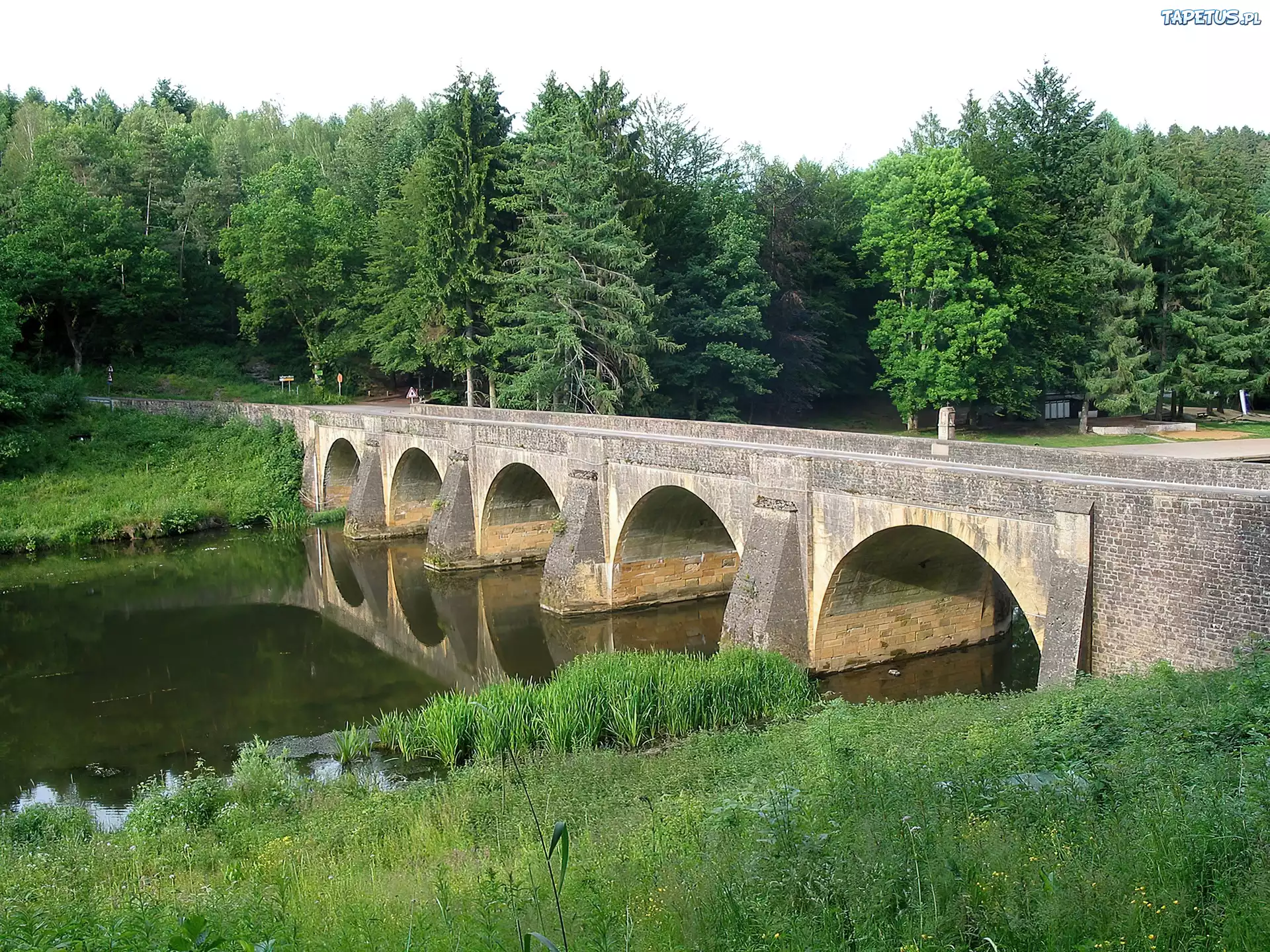 Rzeka, Most, Las