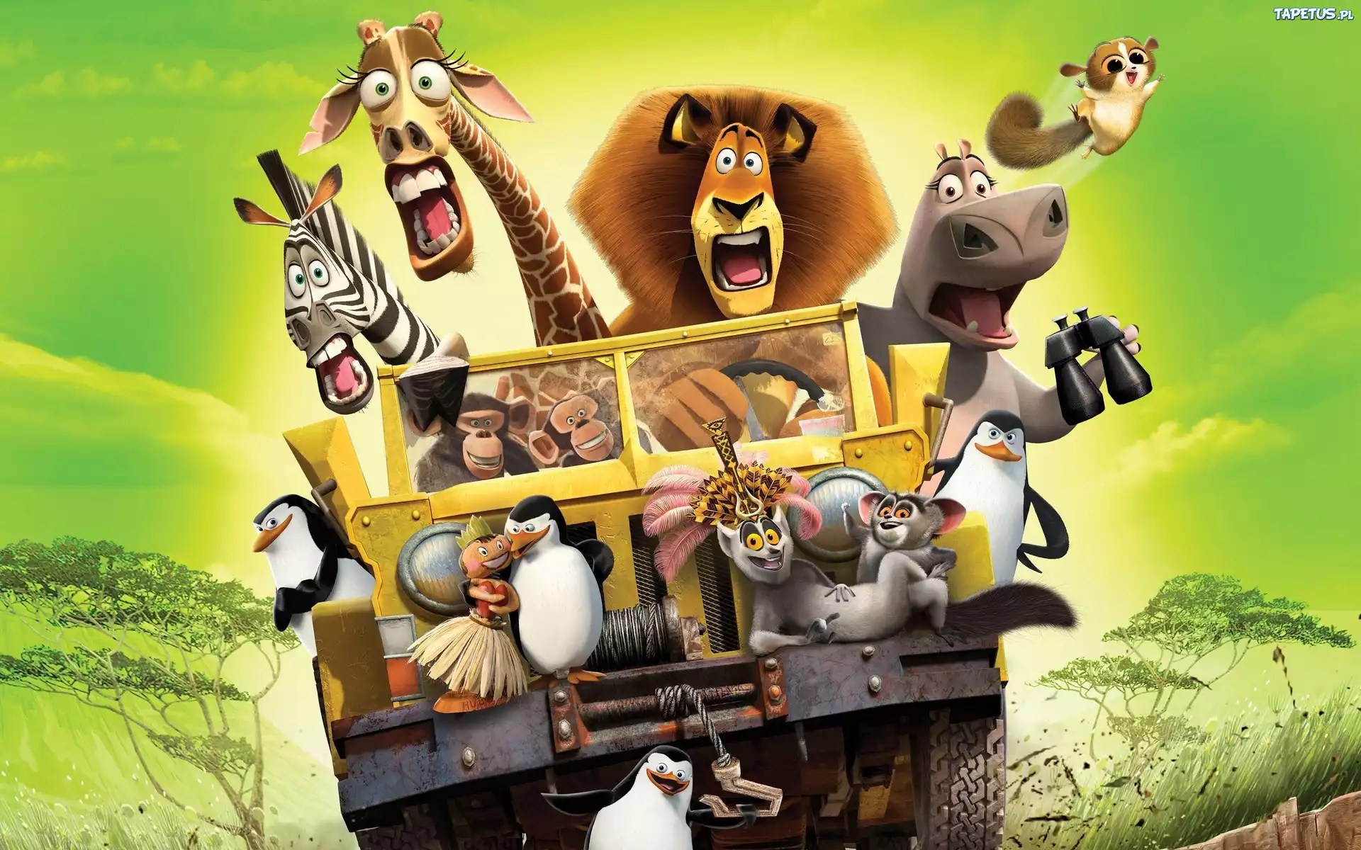 Film, Animowany, Madagaskar, Postacie
