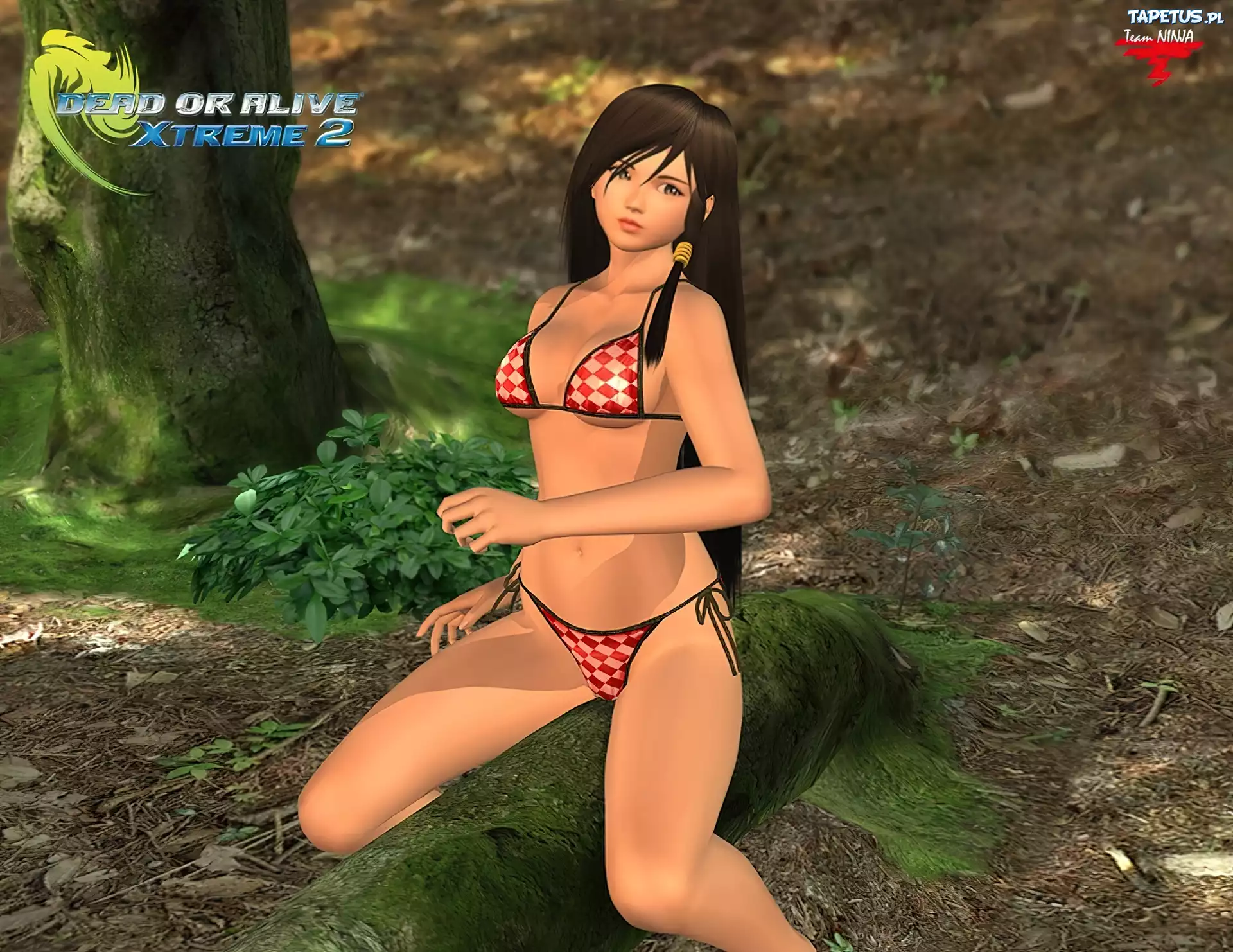 Dead Or Alive Xtreme 2, Kokoro