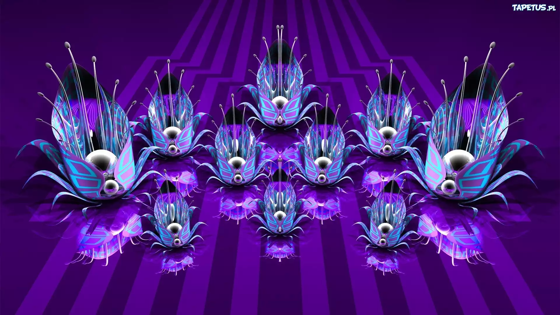 Abstrakcja, Kwiaty, Grafika 3D
