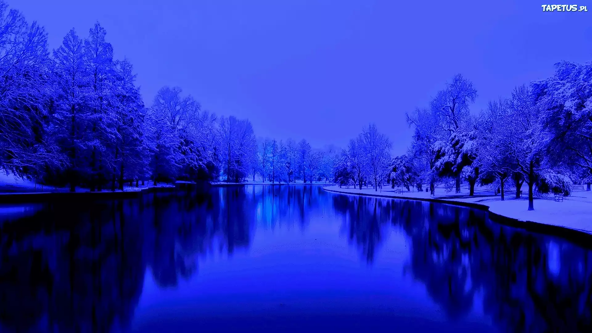Park, Jezioro, Zima