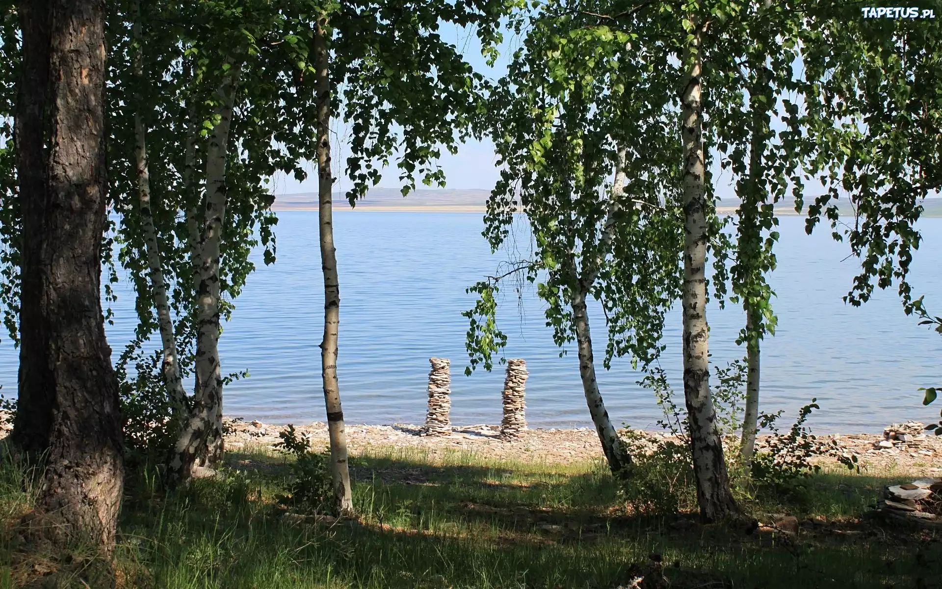 Jezioro, Kamienisty, Brzeg, Drzewa