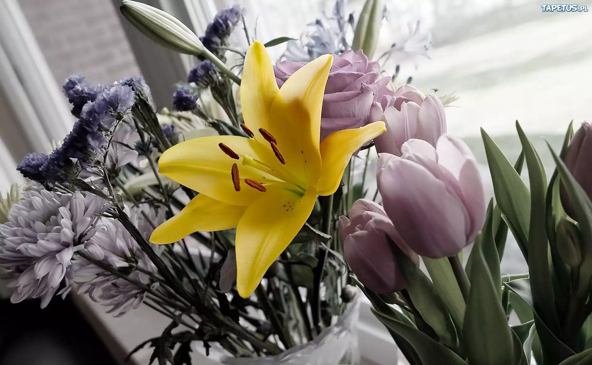 Bukiet, Kwiatów, Tulipany