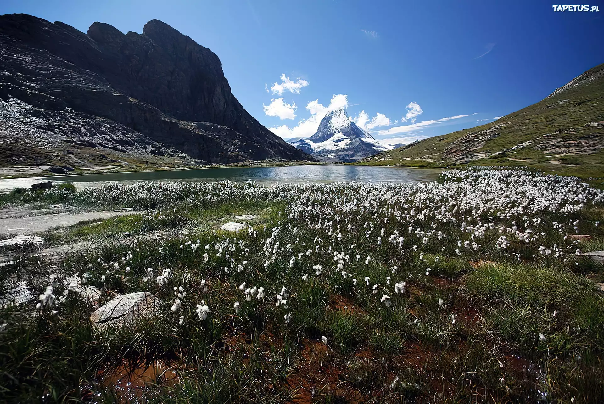Łąka, Jeziorko, Góry, Matterhorn, Szwajcaria