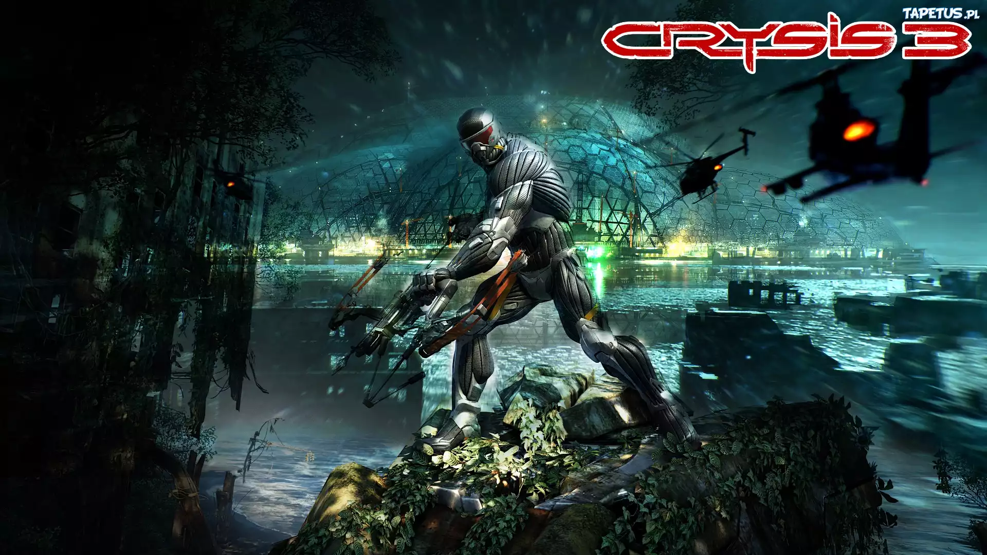 Crysis 3, Helikoptery, Kopuła