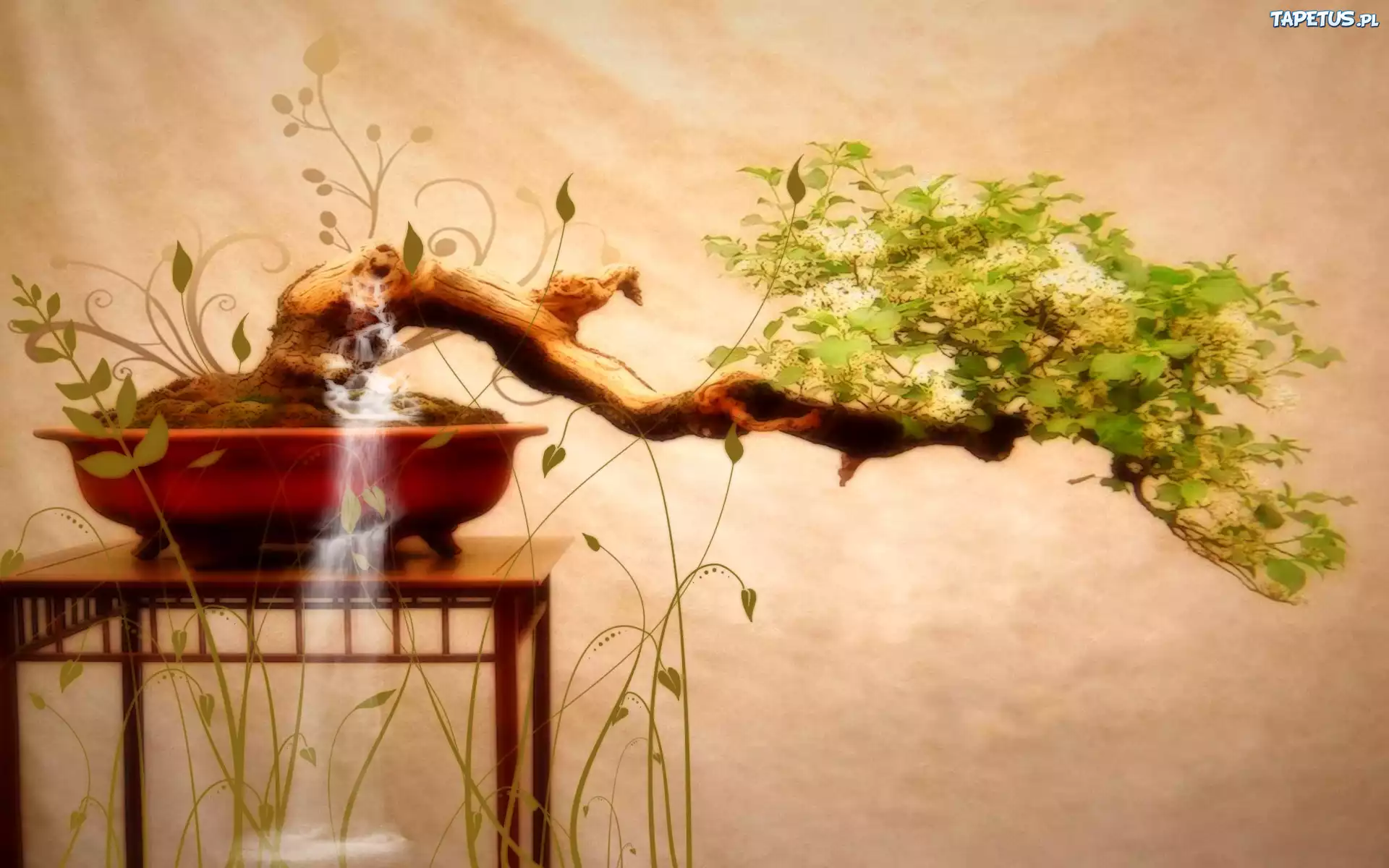 Stolik, Drzewko, Bonsai