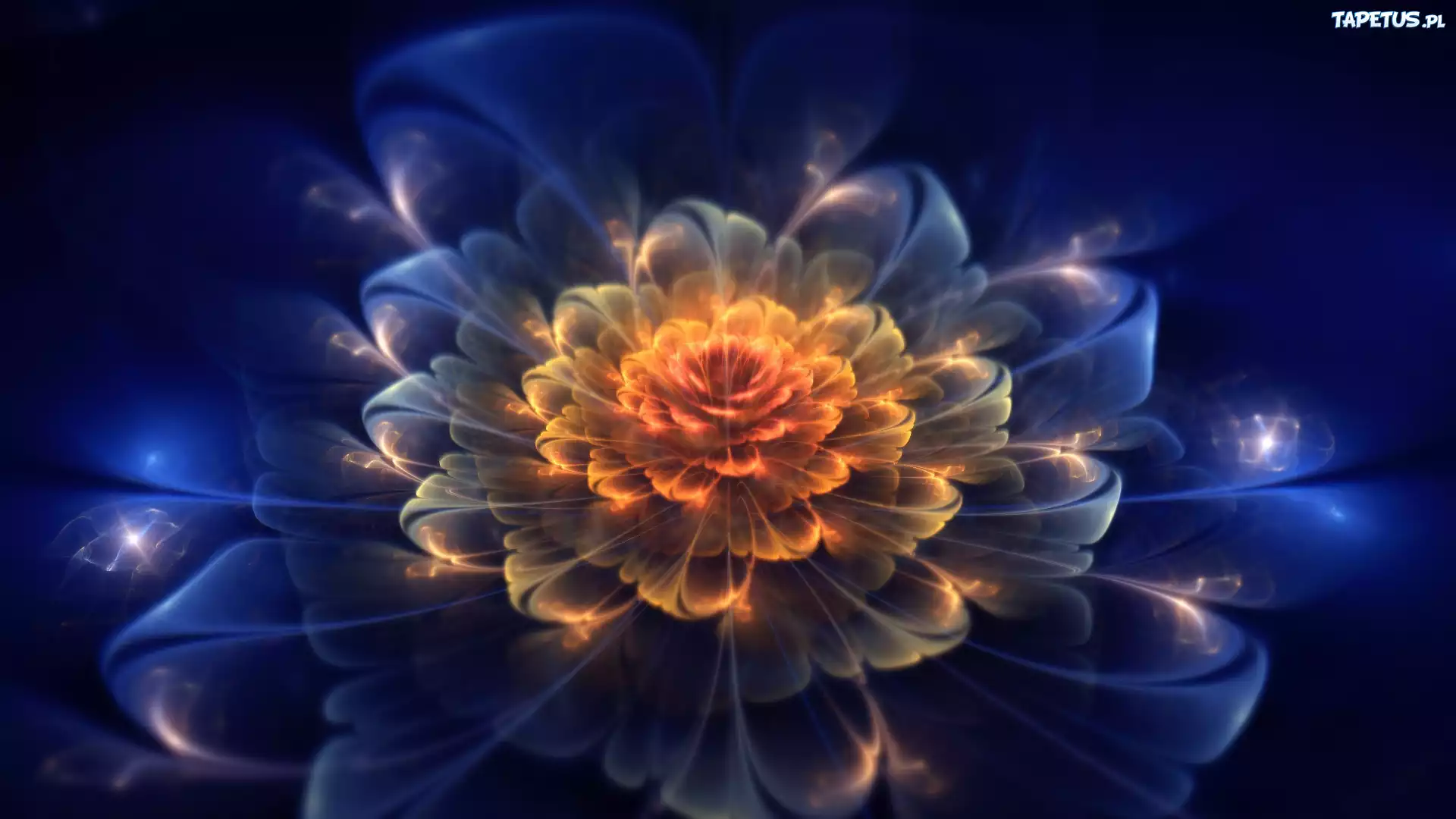 Fractalius, Kwiat
