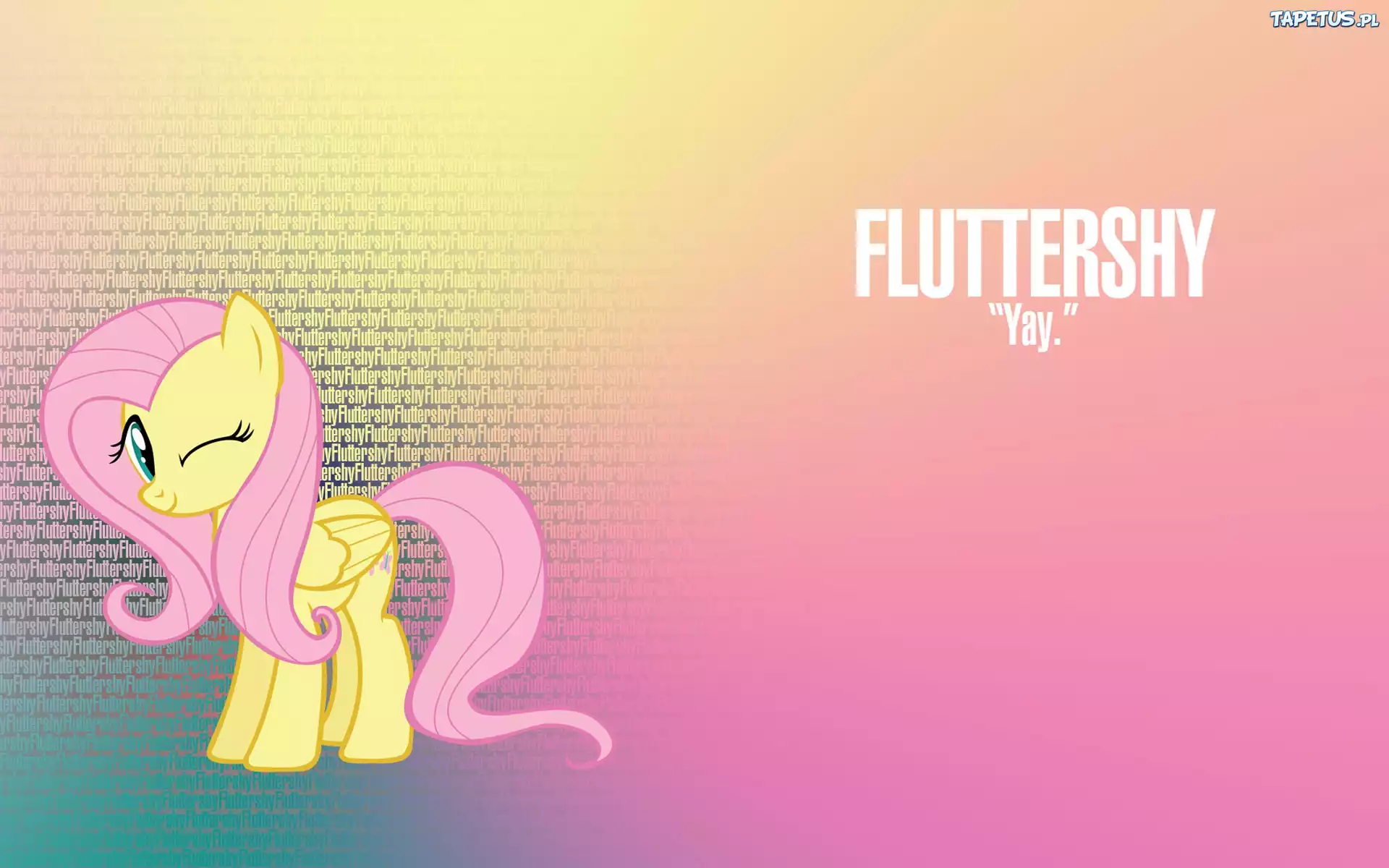 My Little Pony Przyjaźń To Magia, Fluttershy