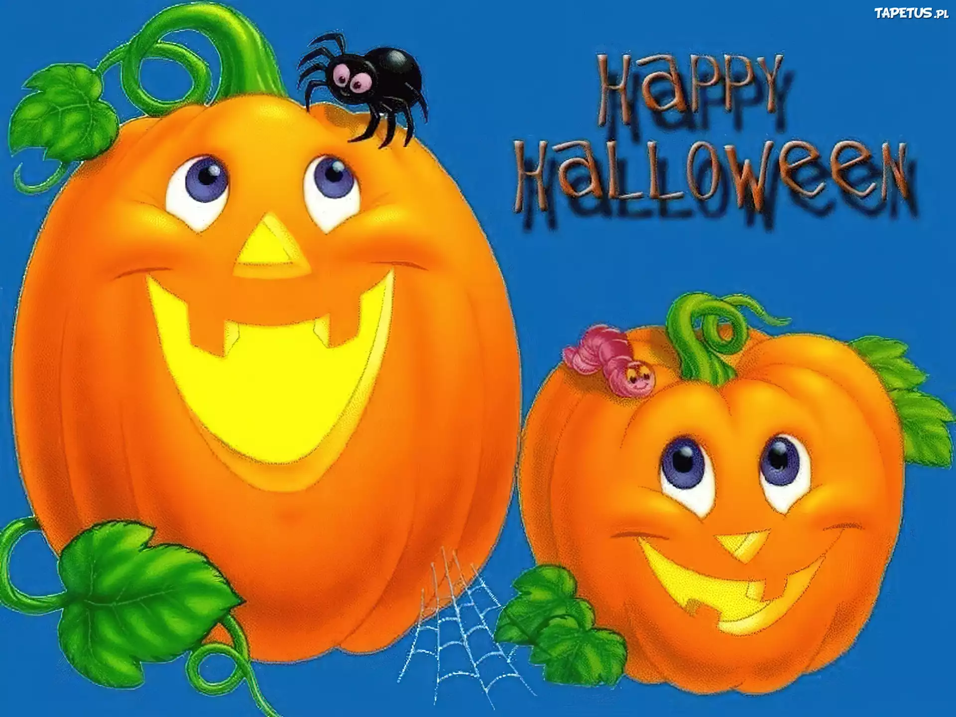 Halloween,dynie
