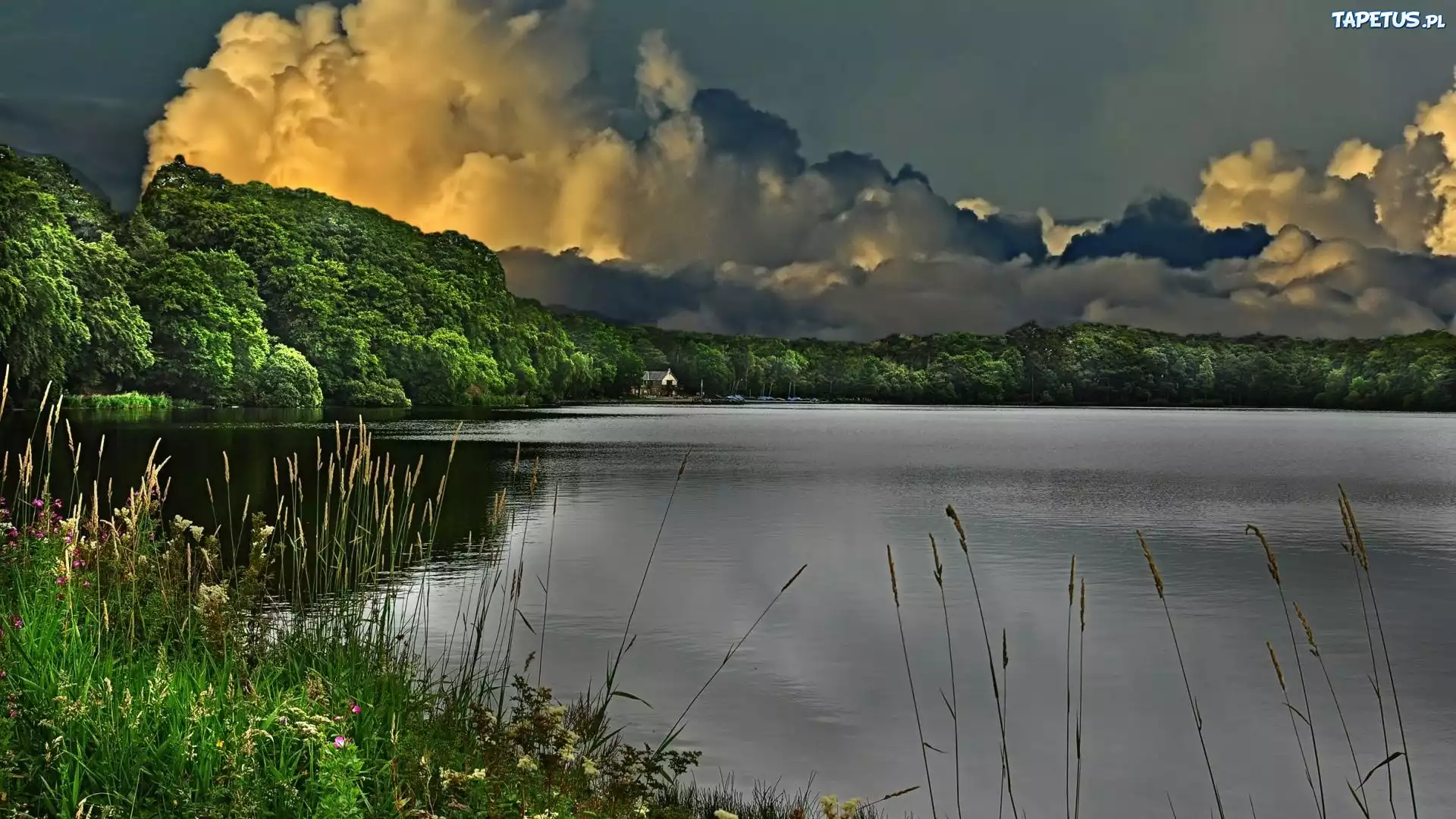 Jezioro, Las, Chmury