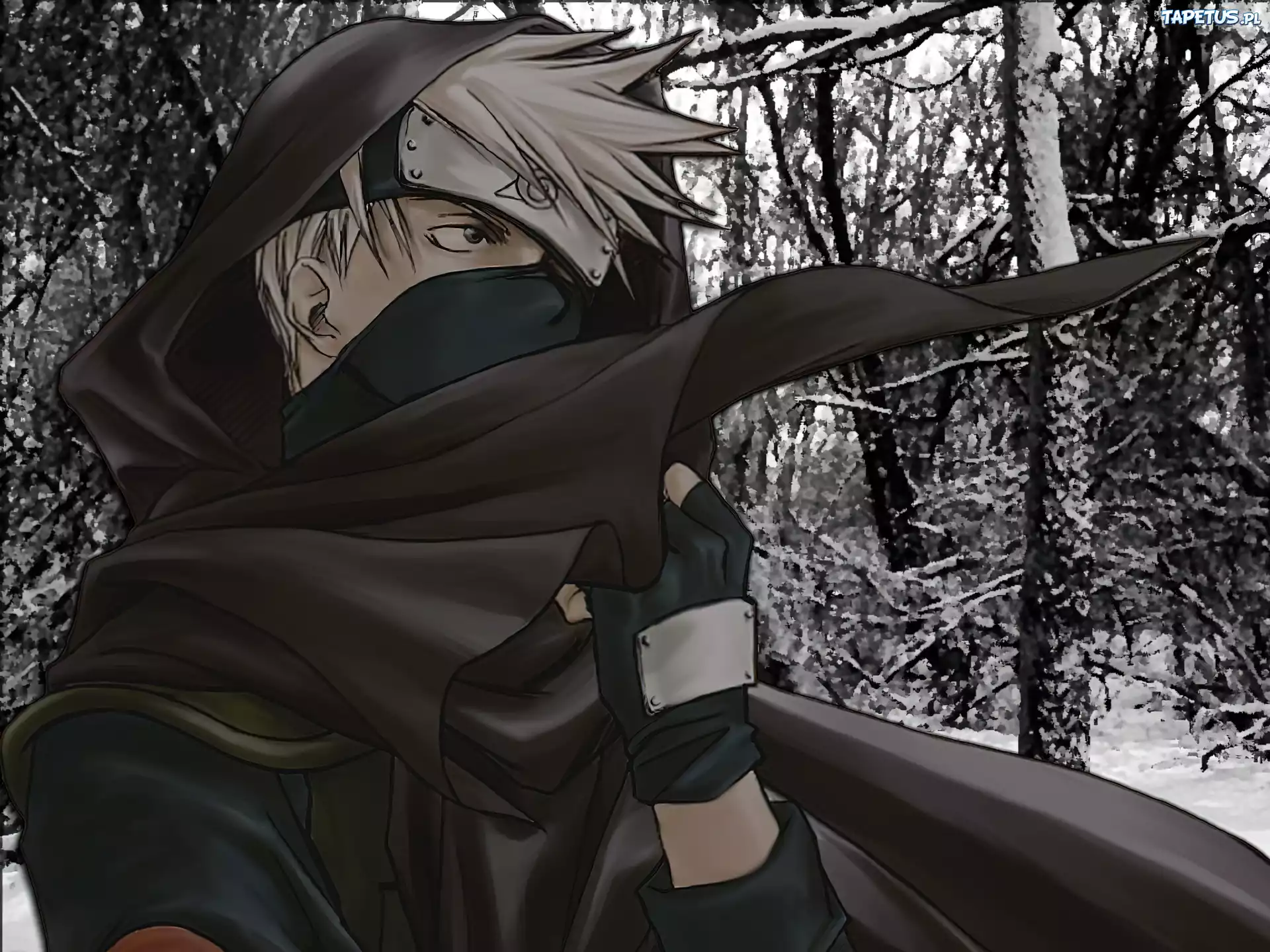 Naruto, drzewa, rękawiczki