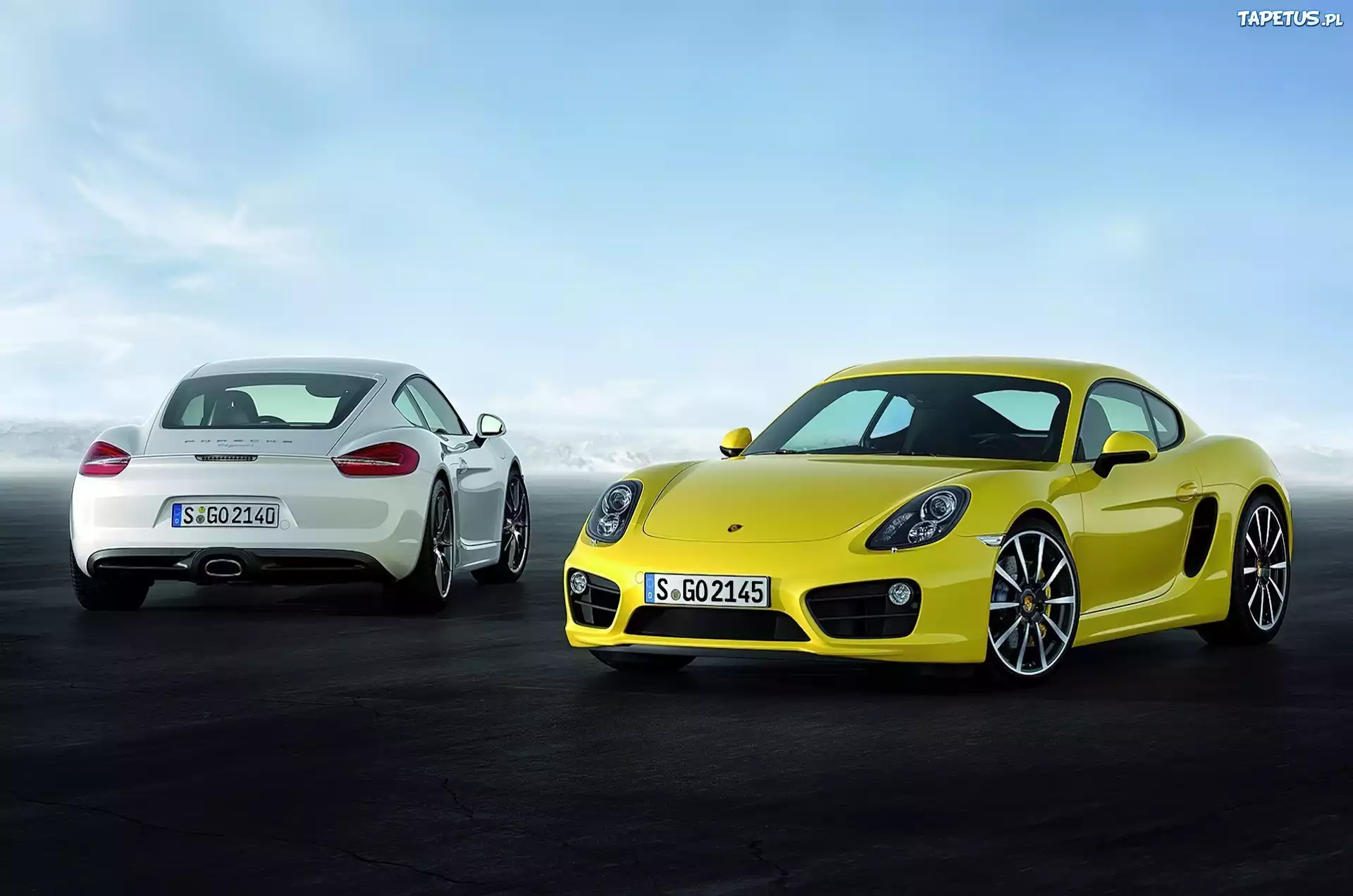 Porsche Cayman S