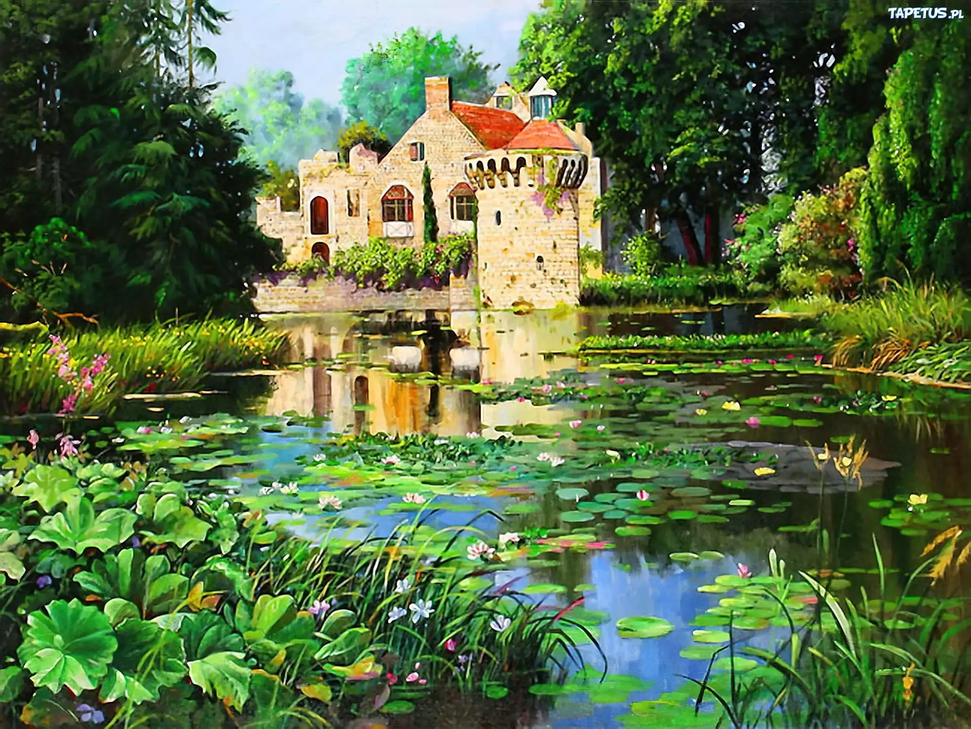 Zamek, Jezioro, Staw