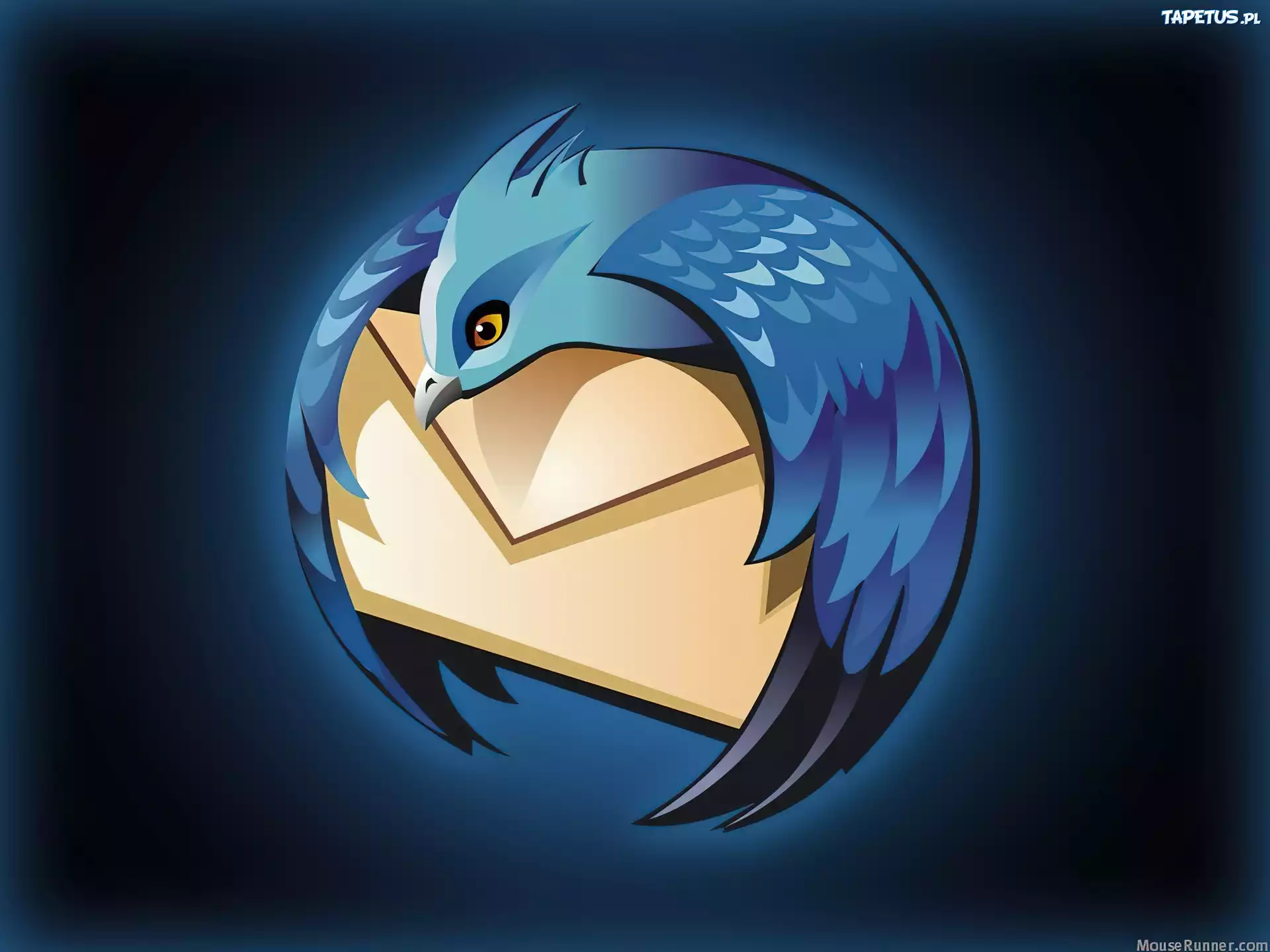 Thunderbird, koperta, grafika, ptak