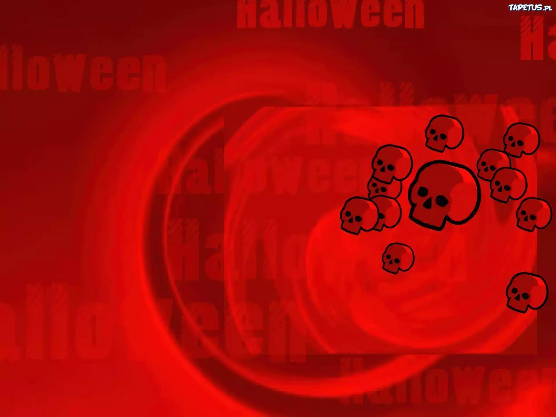 Halloween,czaszki