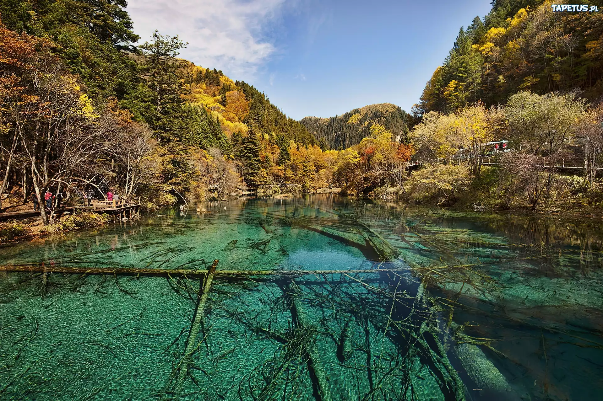 Jezioro, Lasy, Jiuzhaigou, Chiny