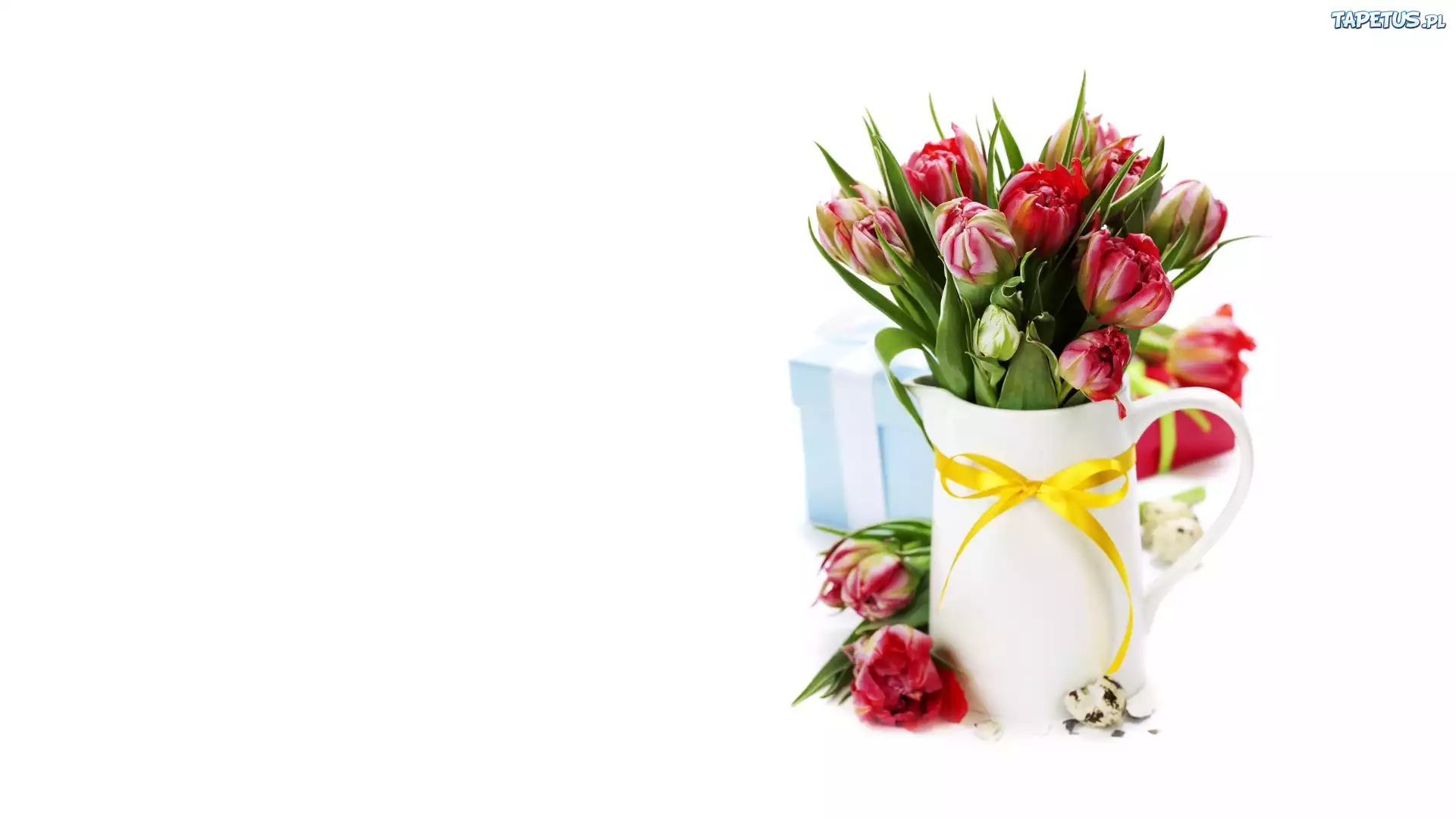 Tulipany, Cięte, Wazon