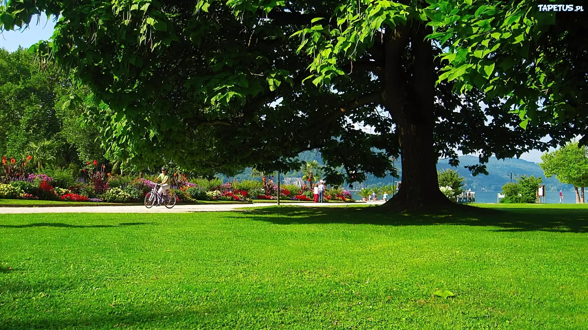 Lato, Park, Spacerowicze, Austria