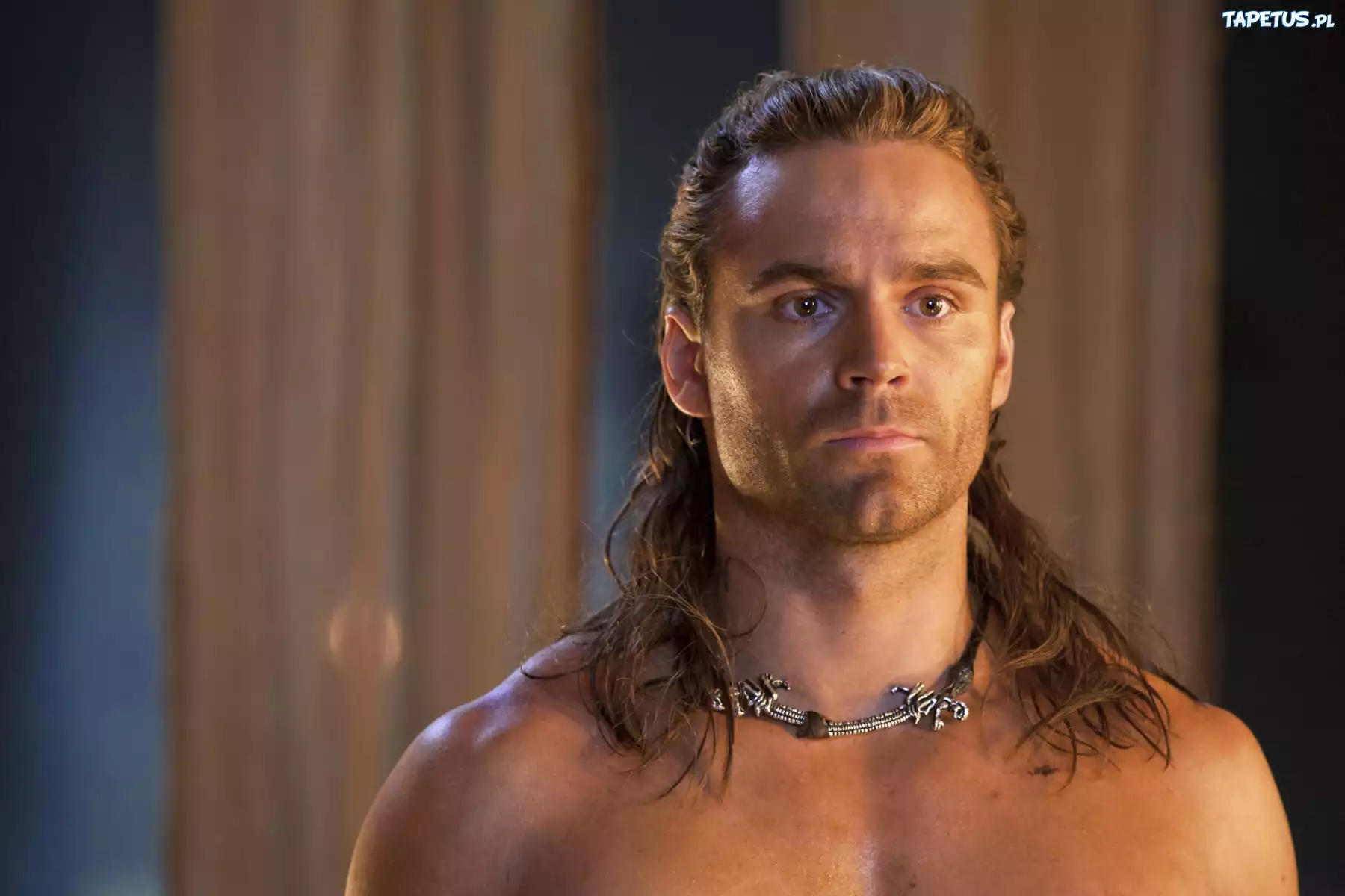 Spartacus: Bogowie Areny, Gannicus