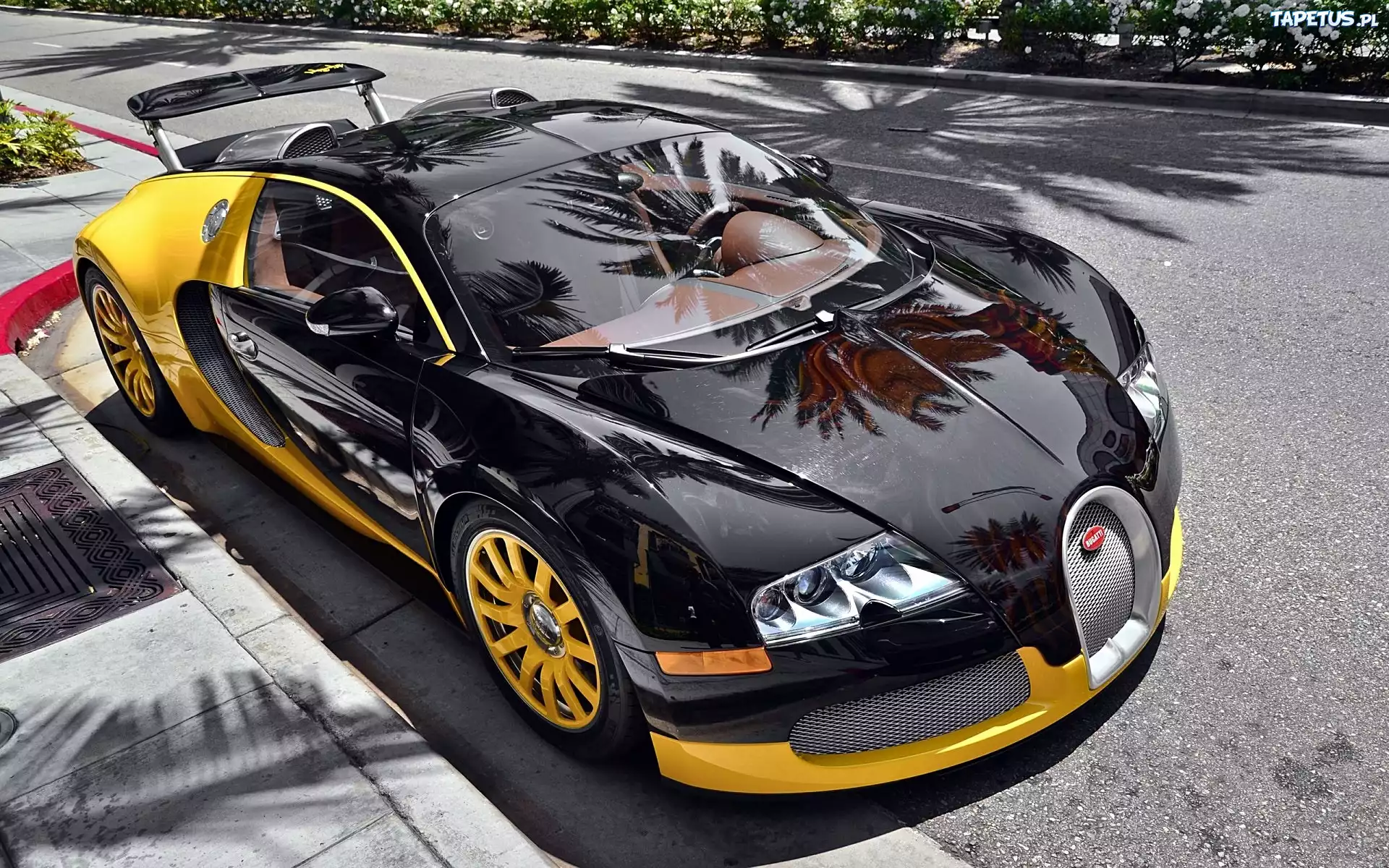 Czarny, Bugatti Veyron 16,4