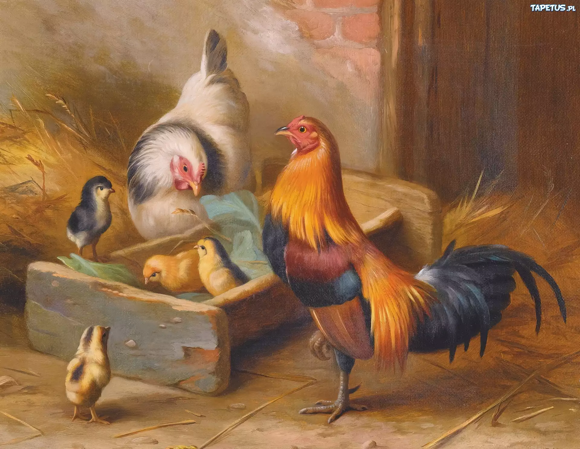 Kogut, Kura, Kurczaczki, Edgar Hunt