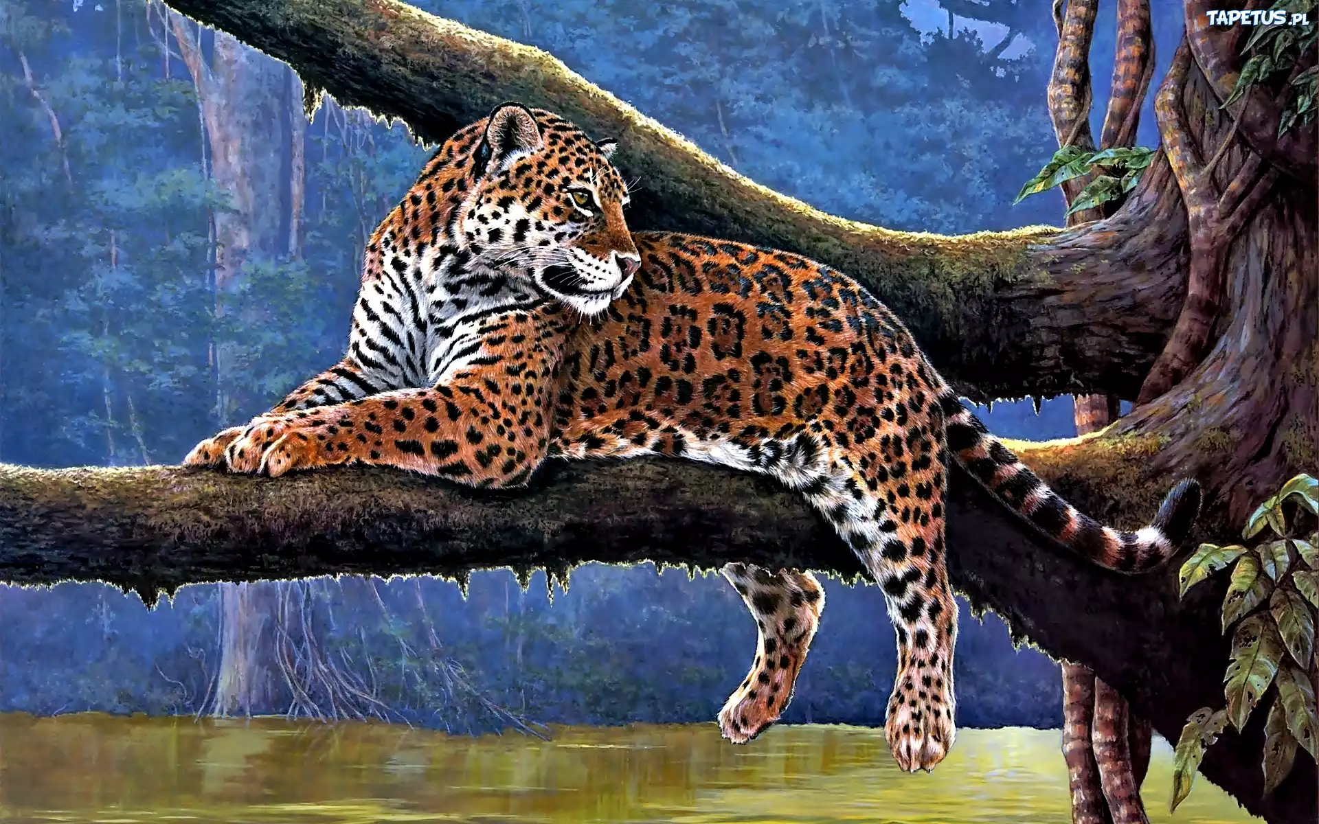 Drzewo, Konar, Jaguar