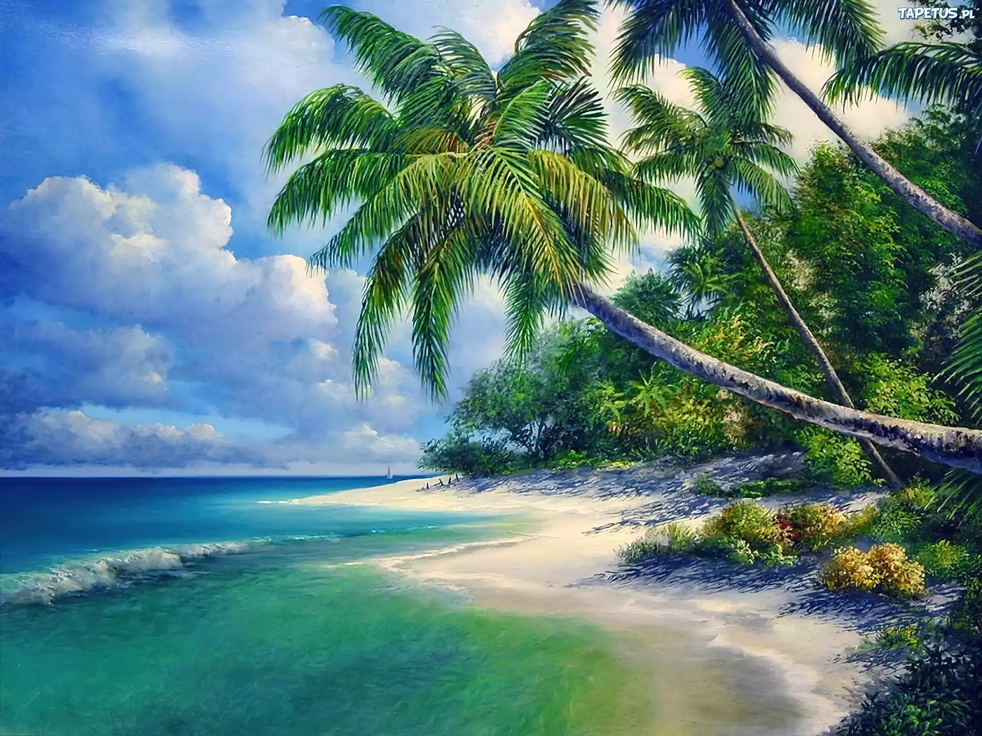 Plaża, Morze Fale, Palmy