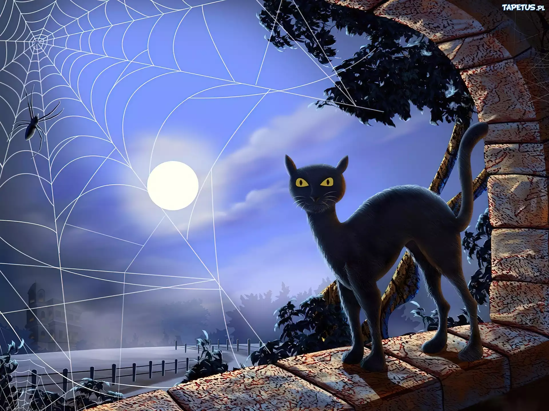 Kot, Noc, Księżyc