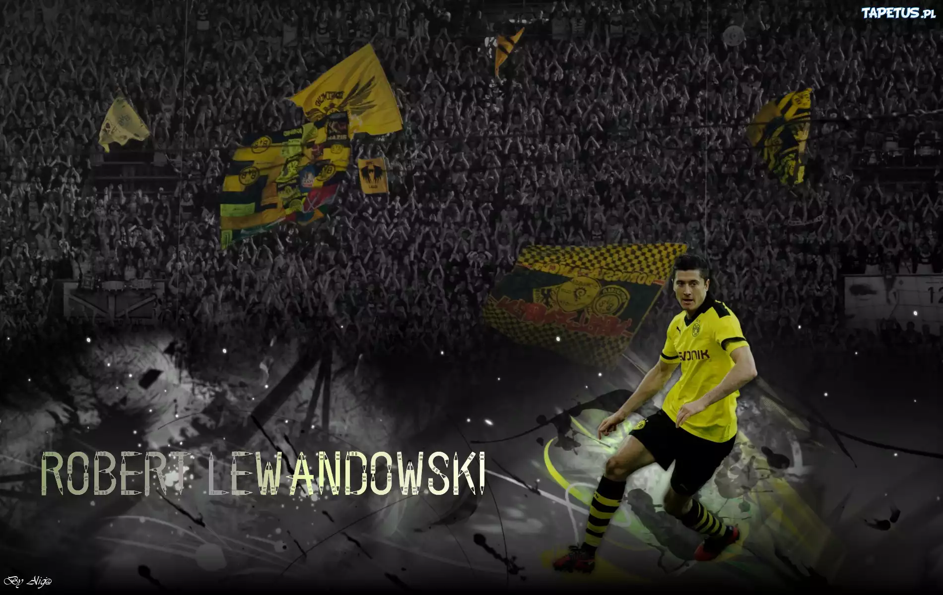 Robert Lewandowski, Borussia Dortmund