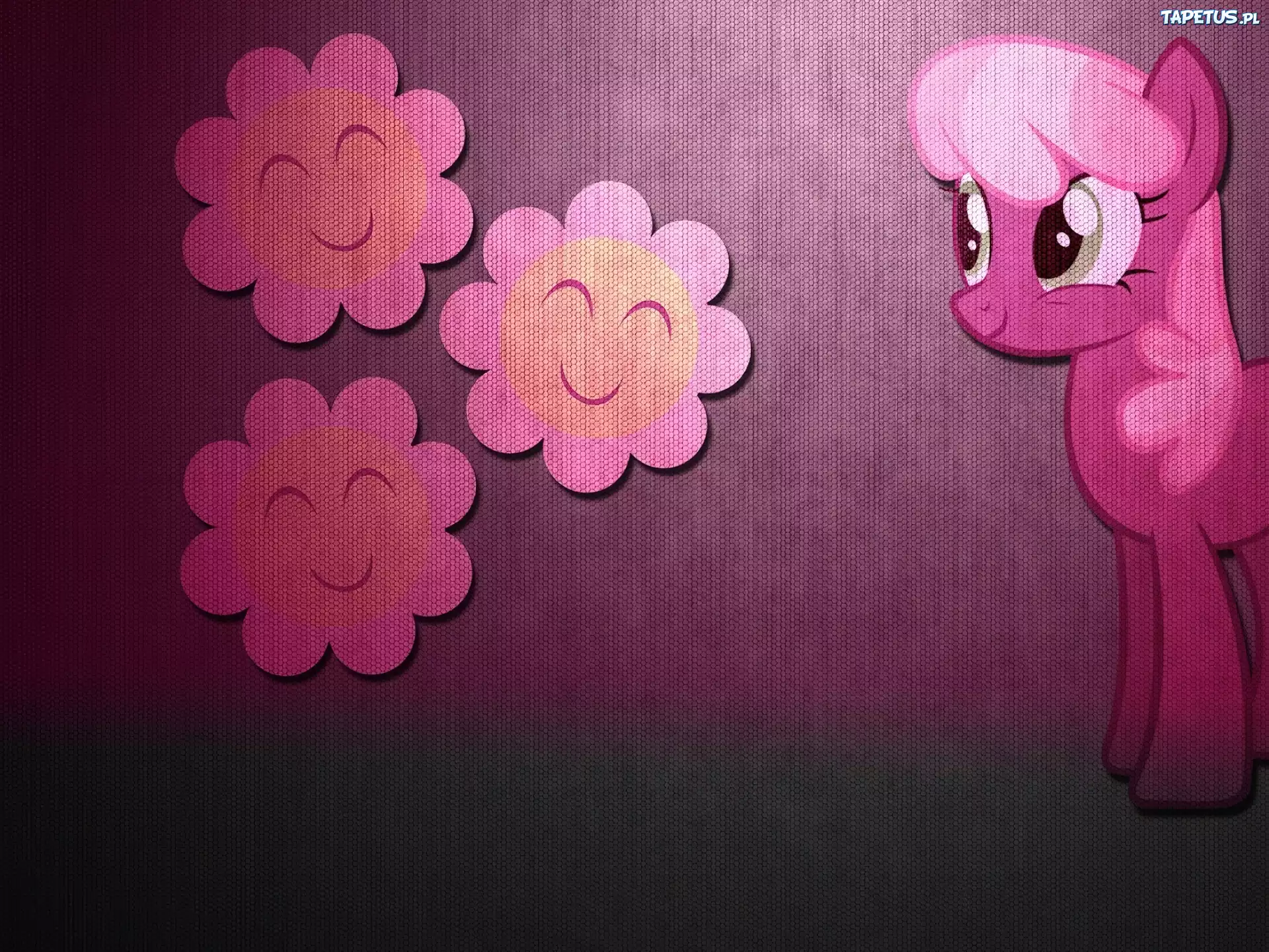 My Little Pony Przyjaźń To Magia, Cheerlee