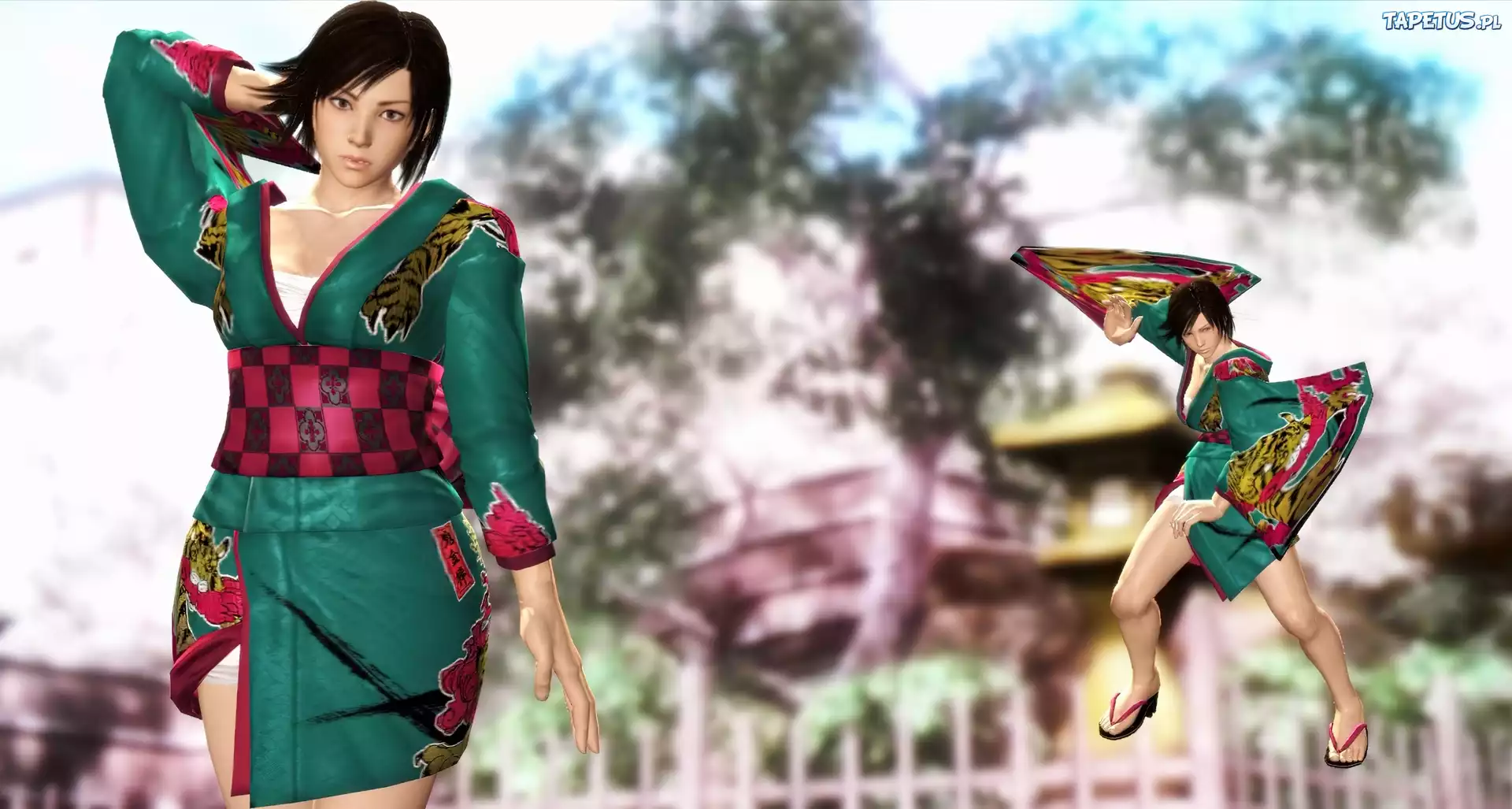 Tekken Tag Tournament 2, Asuka Kazama