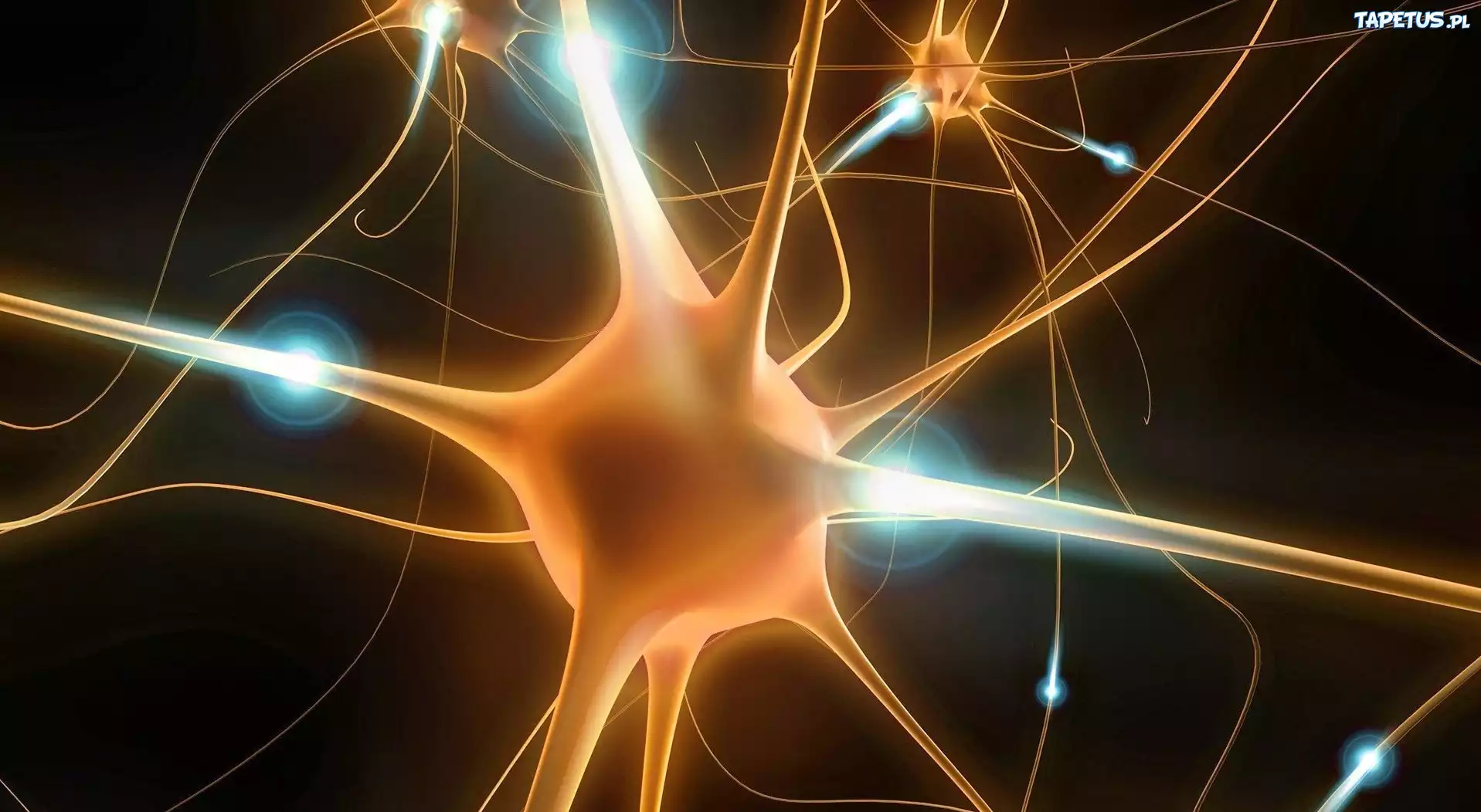 Neurony, Impulsy, Grafika