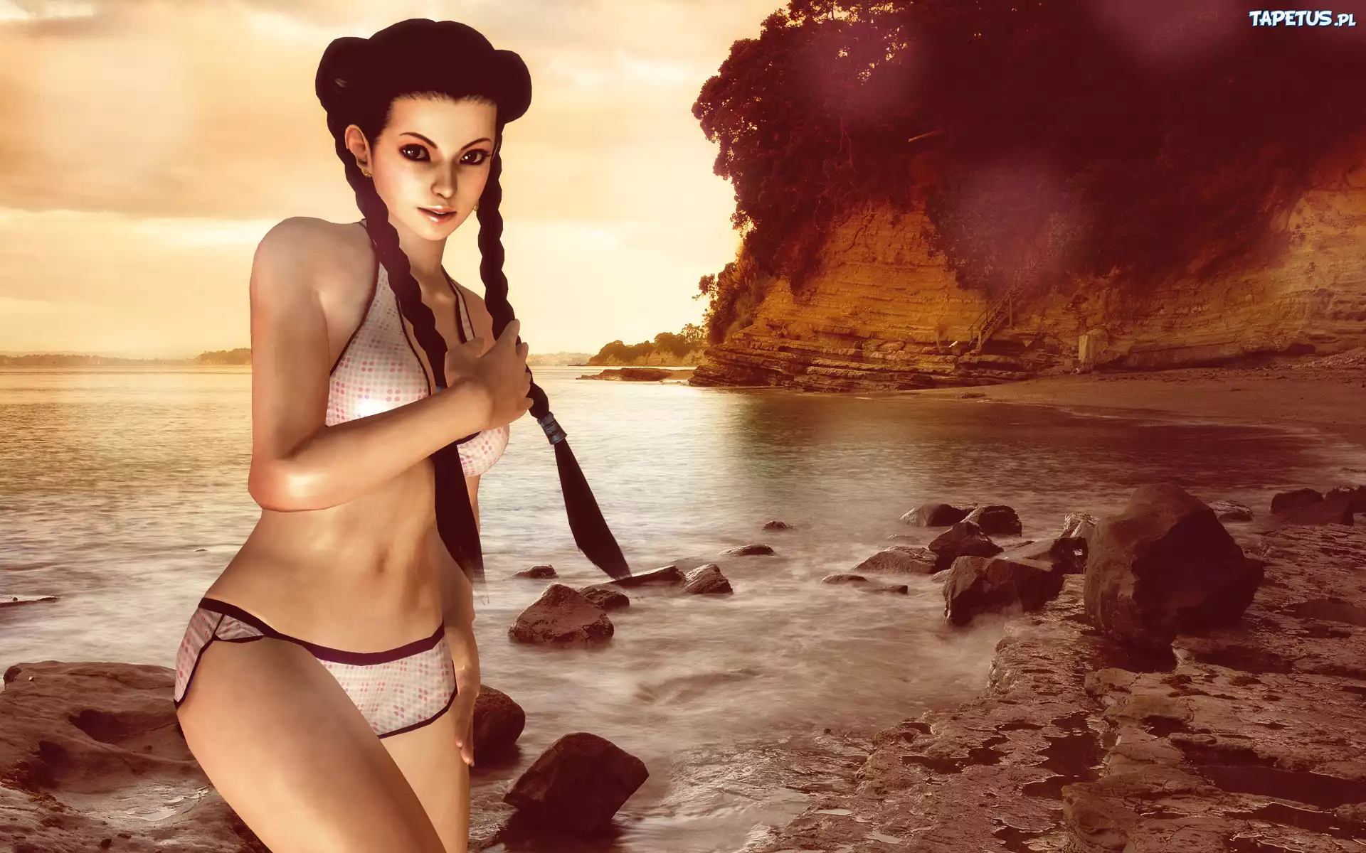 Dead Or Alive 5, Pai Chan