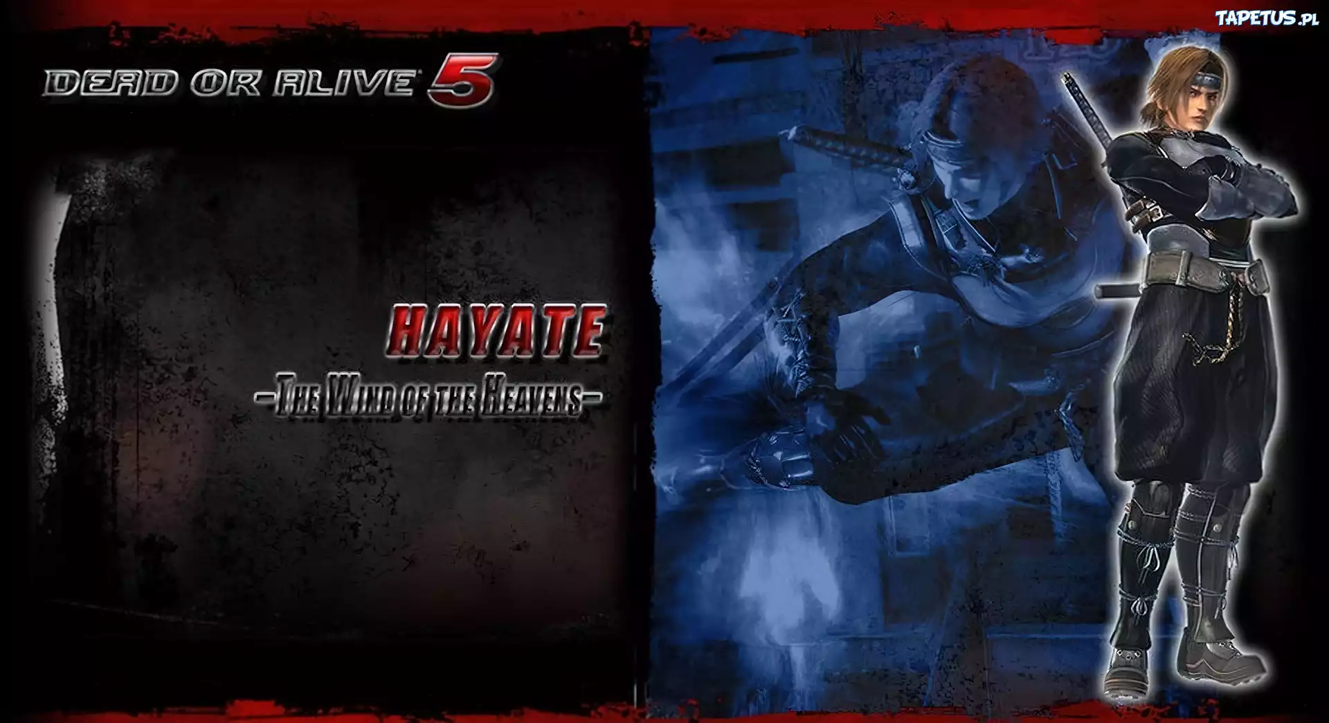Dead Or Alive 5, Hayate