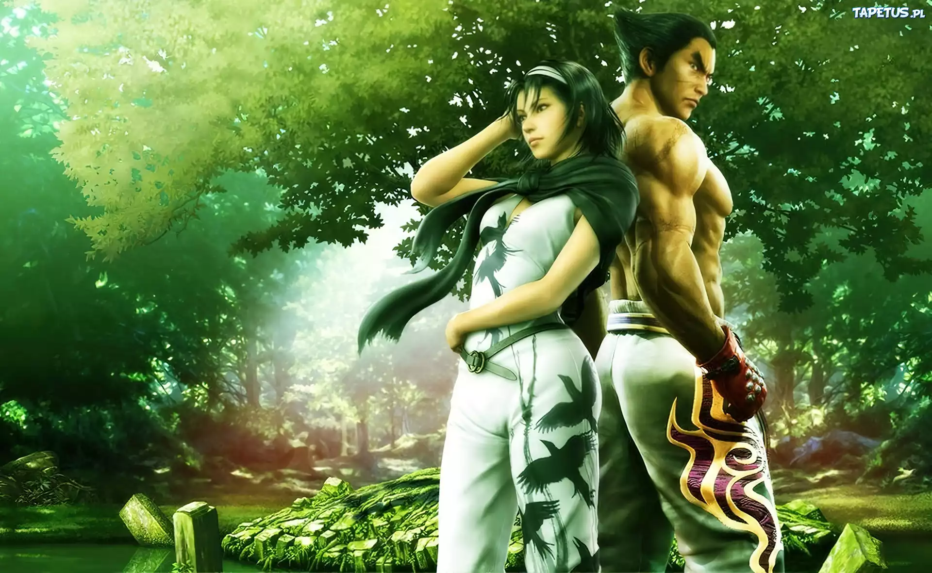 Tekken Tag Tournament 2, Kazuya Mishima, Jun Kazama