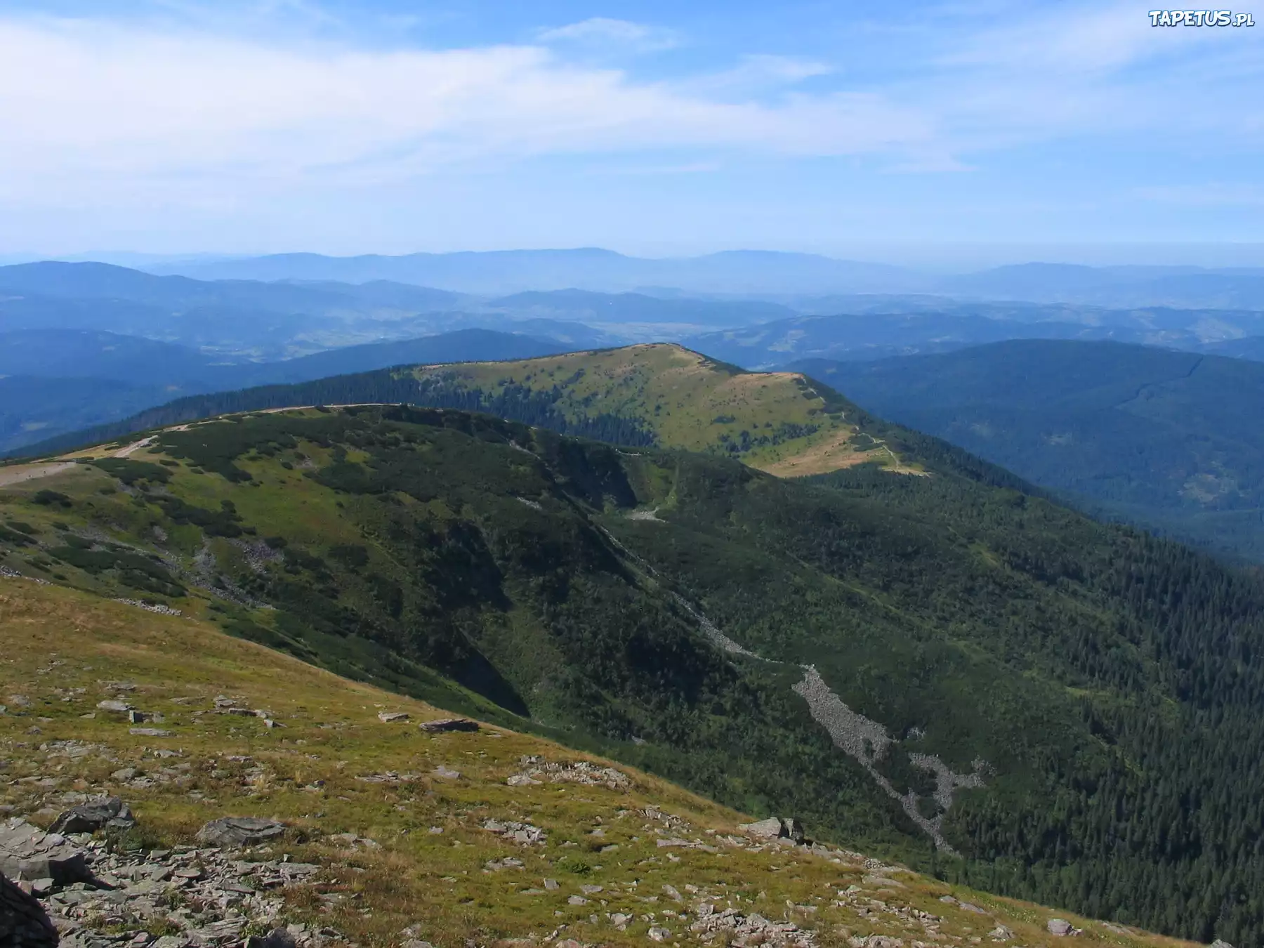 Góry, Lasy, Niebo