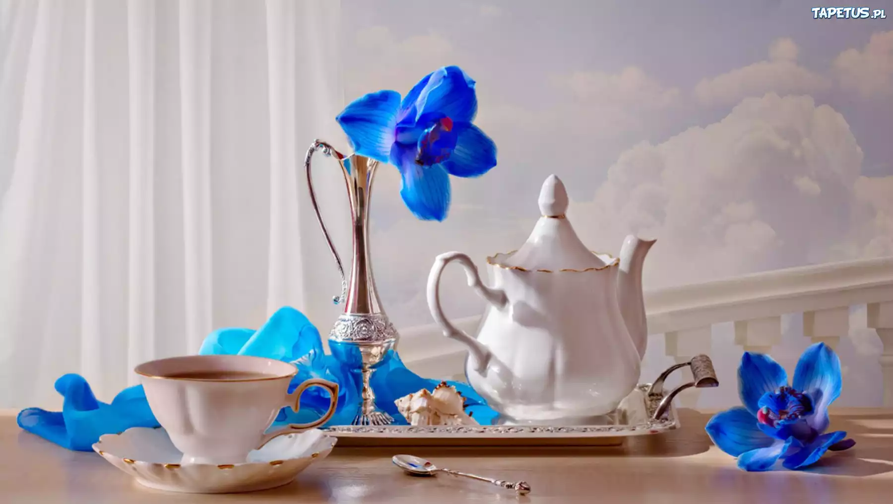Porcelana, Filiżanka, Dzbanek, Niebieskie, Orchidee