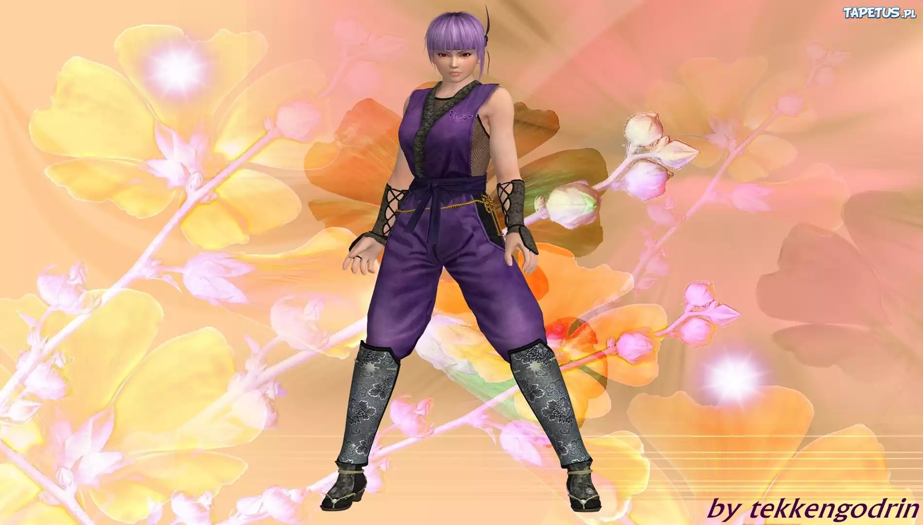 Dead Or Alive 5, Ayane, Grafika