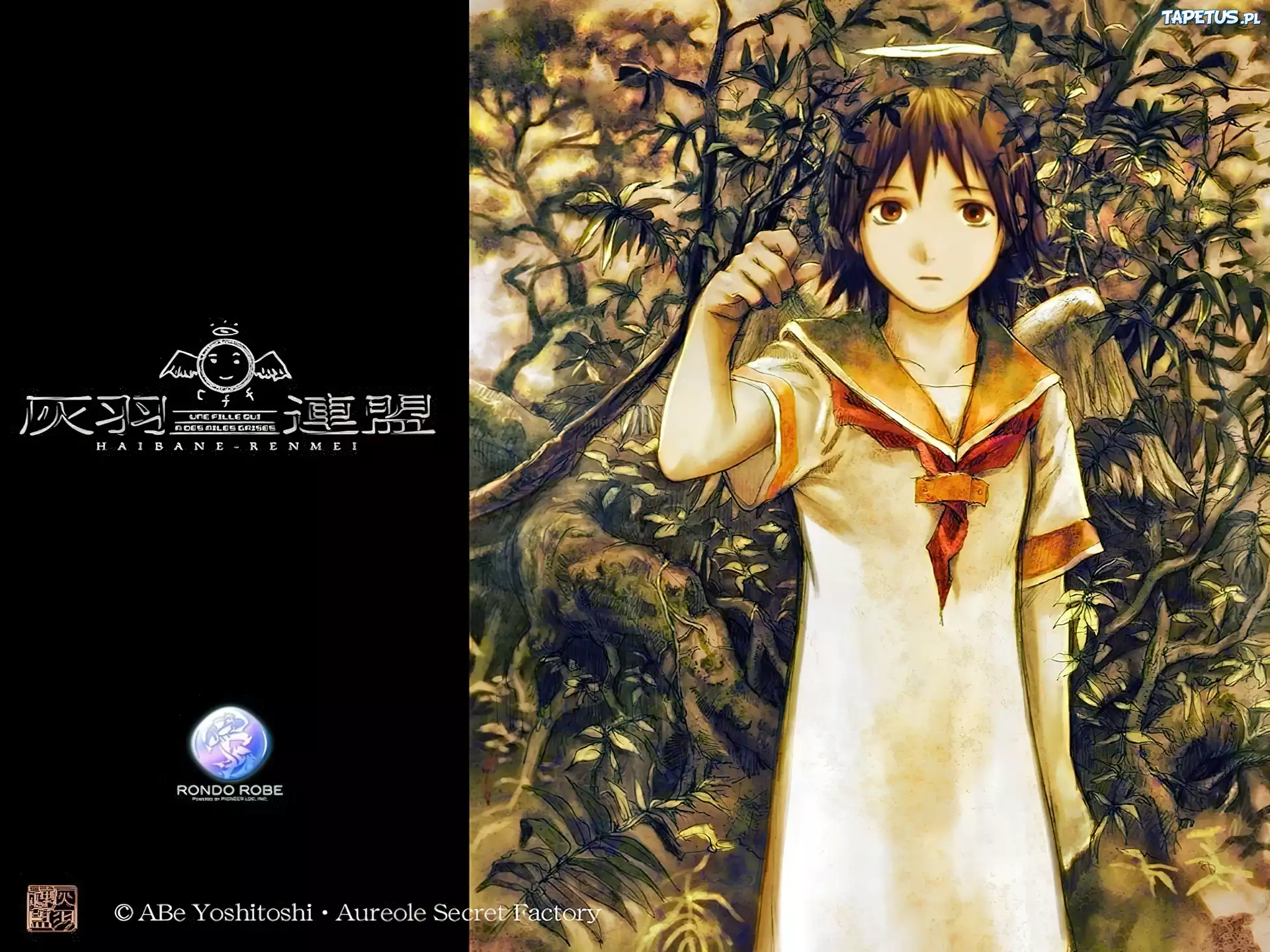 Haibane Renmei, krzaki, angel, osoba, kobieta, wings