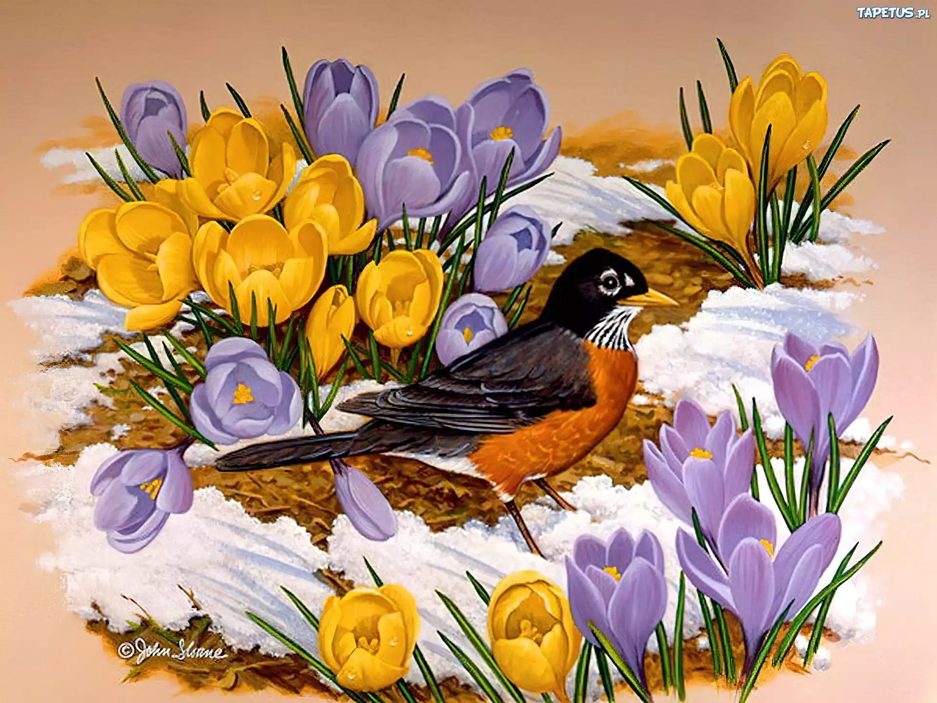 Приход весны птицы. Джон Слоан цветы. Весенние цветы и птицы. Живопись цветы и птицы. Весенние цветы в живописи.