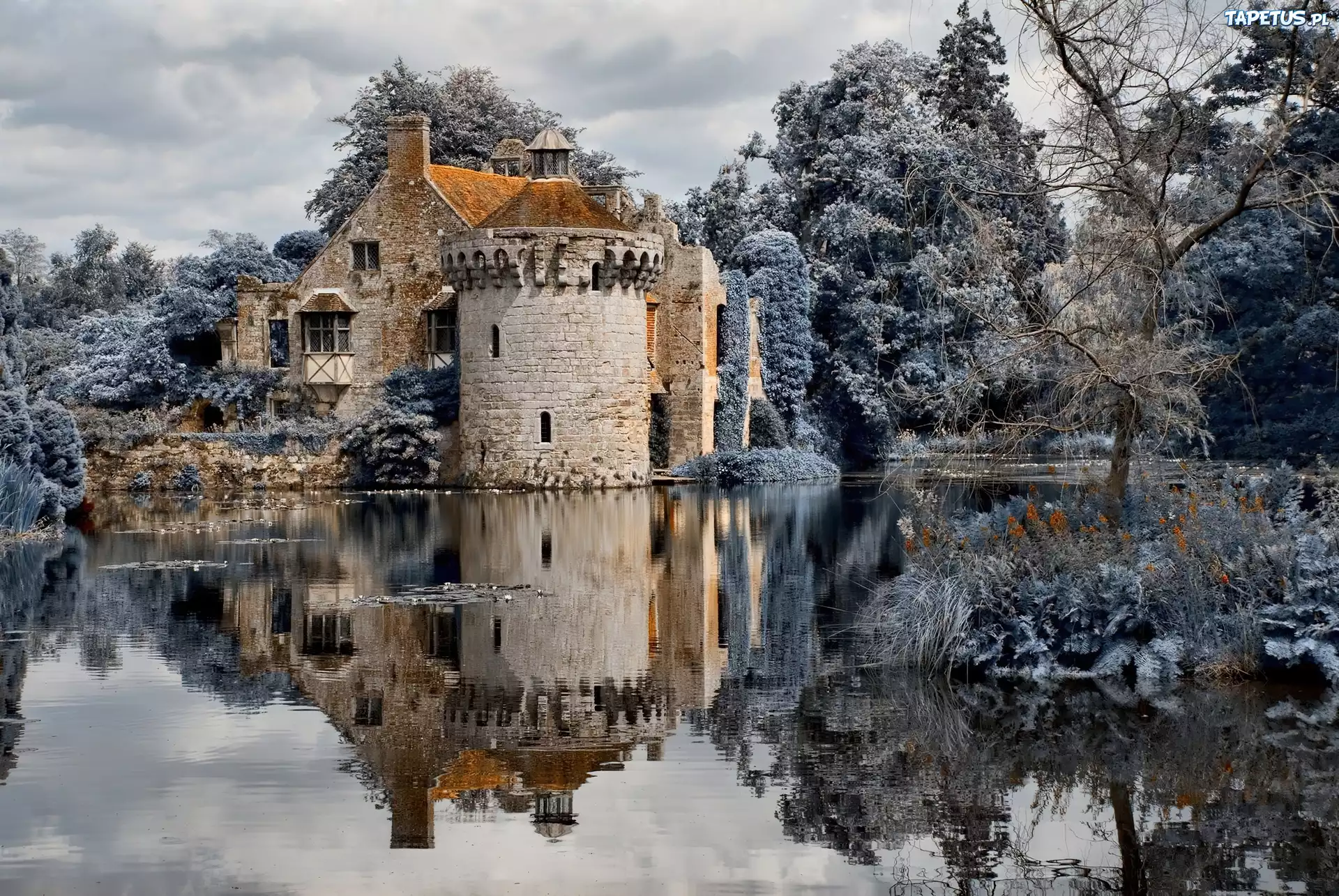 Zamek, Scotney, Kent, Anglia