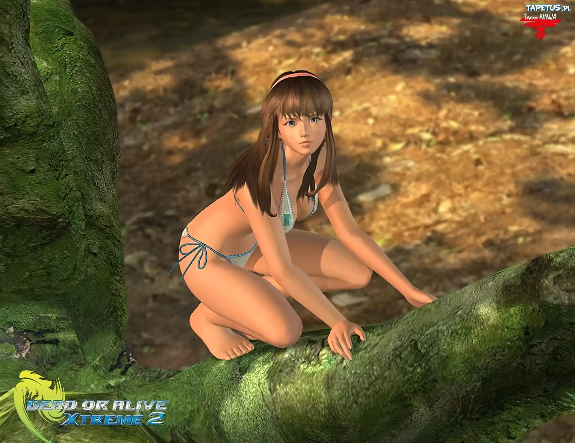 Dead Or Alive Xtreme 2, Hitomi