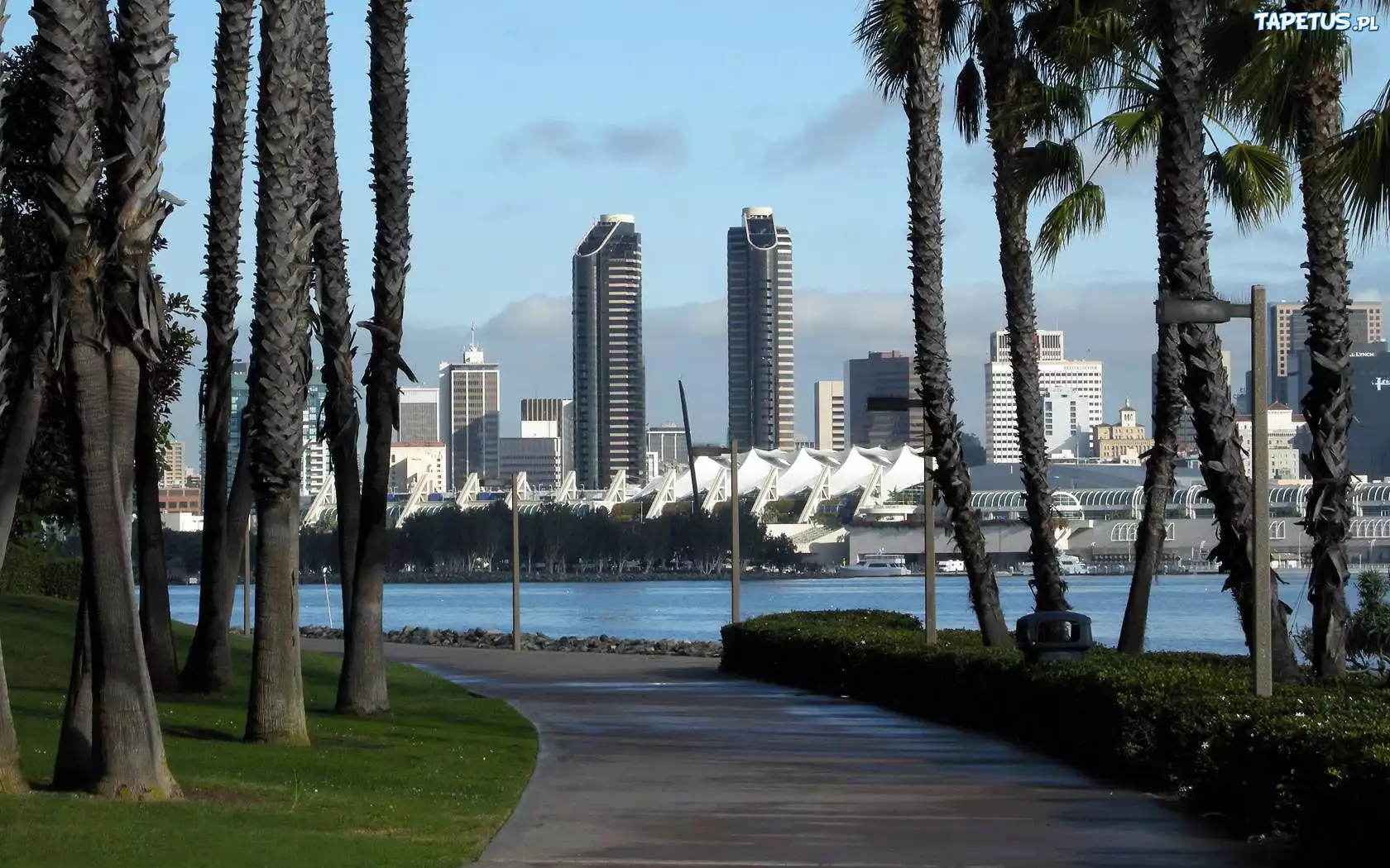 San Diego, Drapacze Chmur, Droga, Drzewa