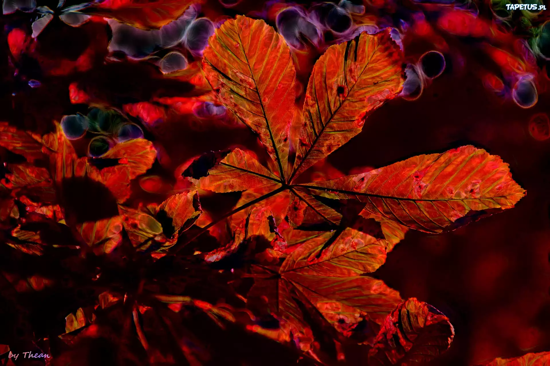 Czerwone, Liście, Fractalius