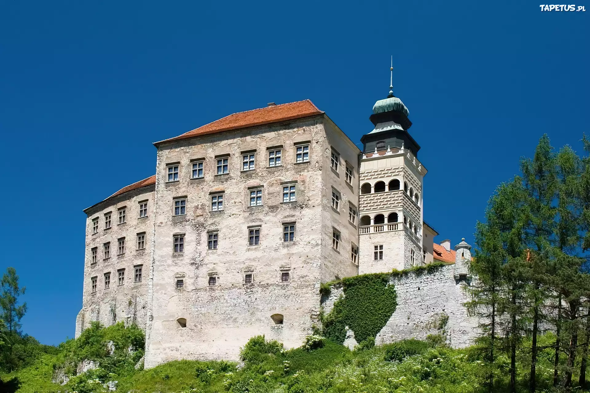 Zamek, Pieskowa, Skała